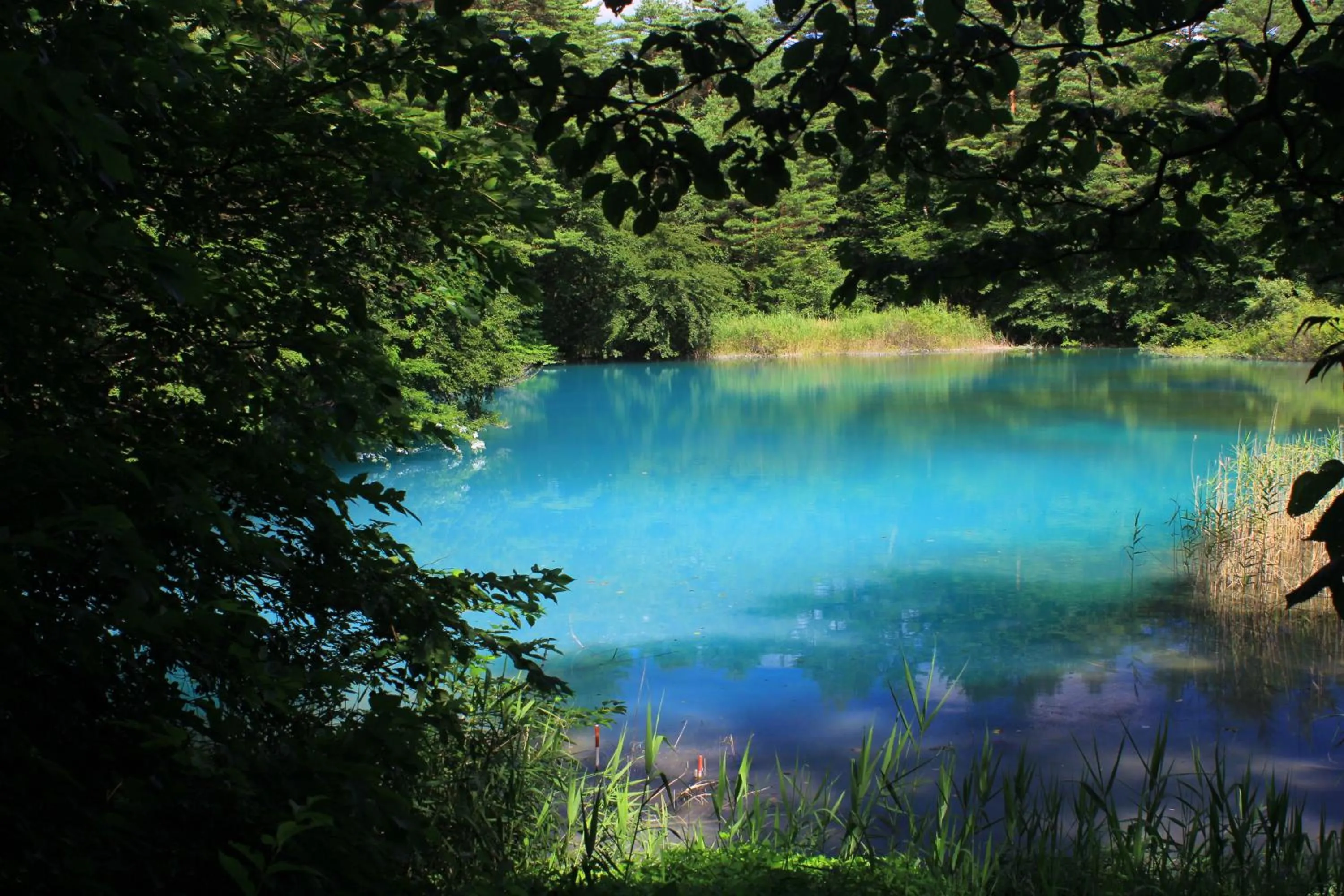 Area and facilities in Nature Cottage Akabeko