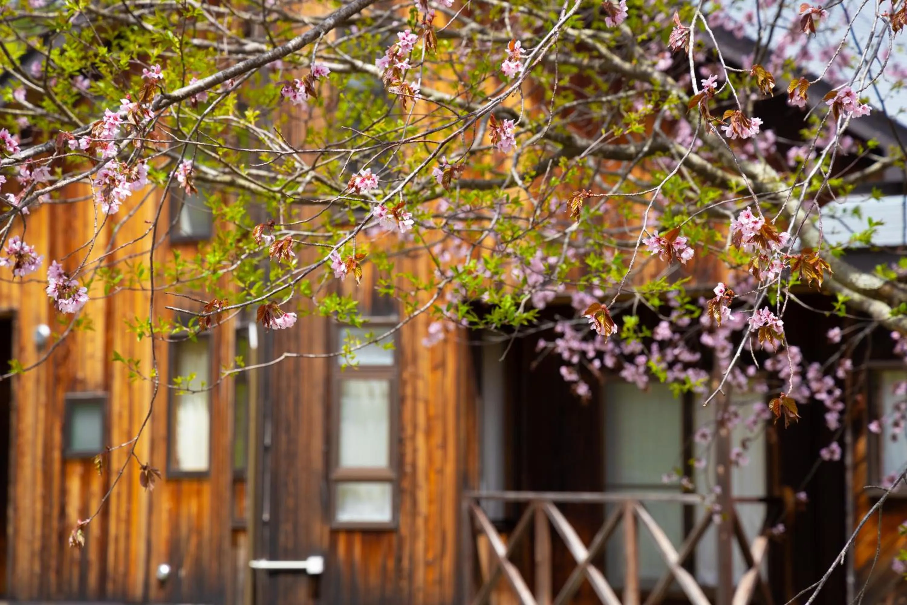 Property building in Nature Cottage Akabeko