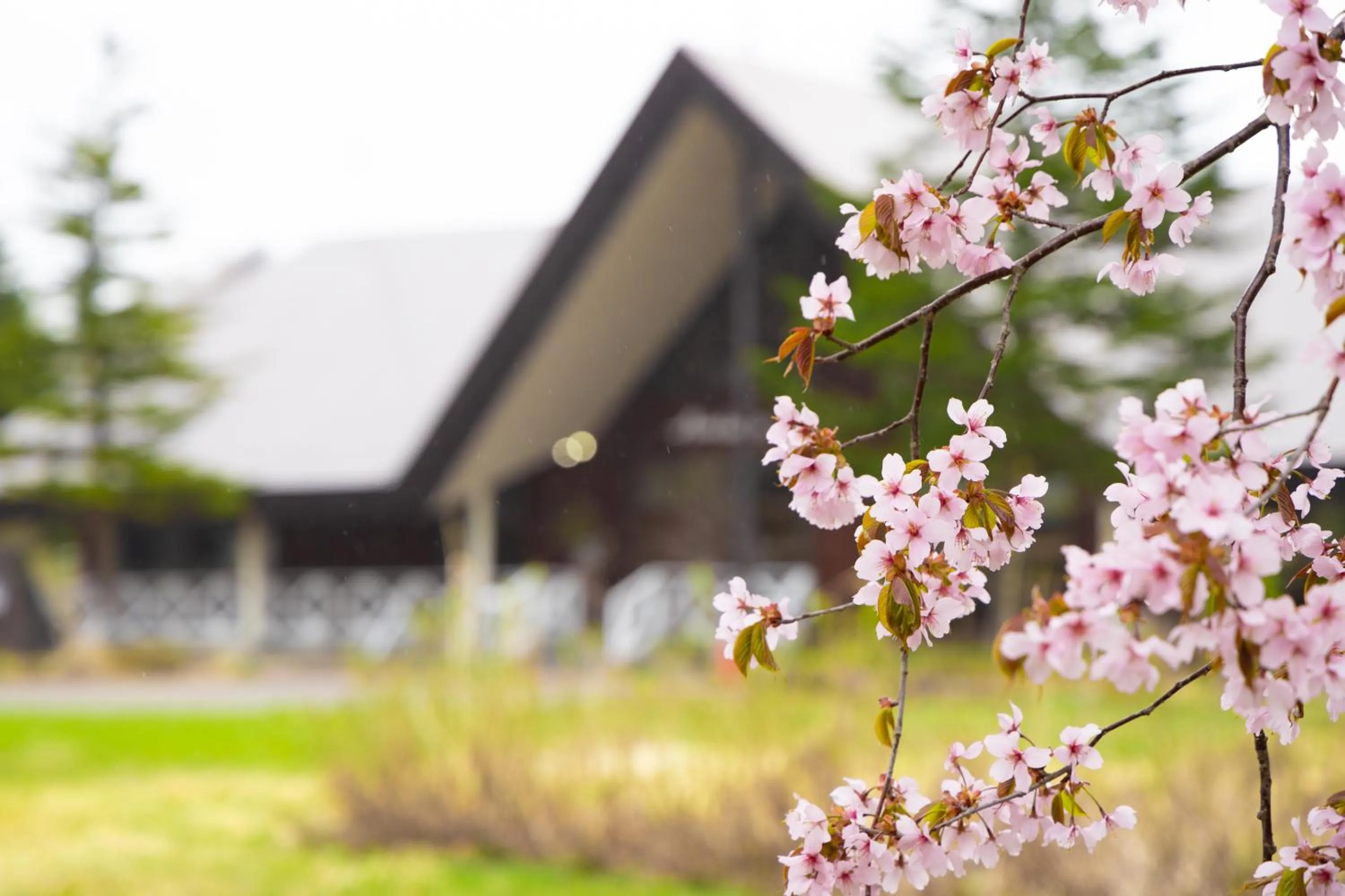 Spring in Nature Cottage Akabeko