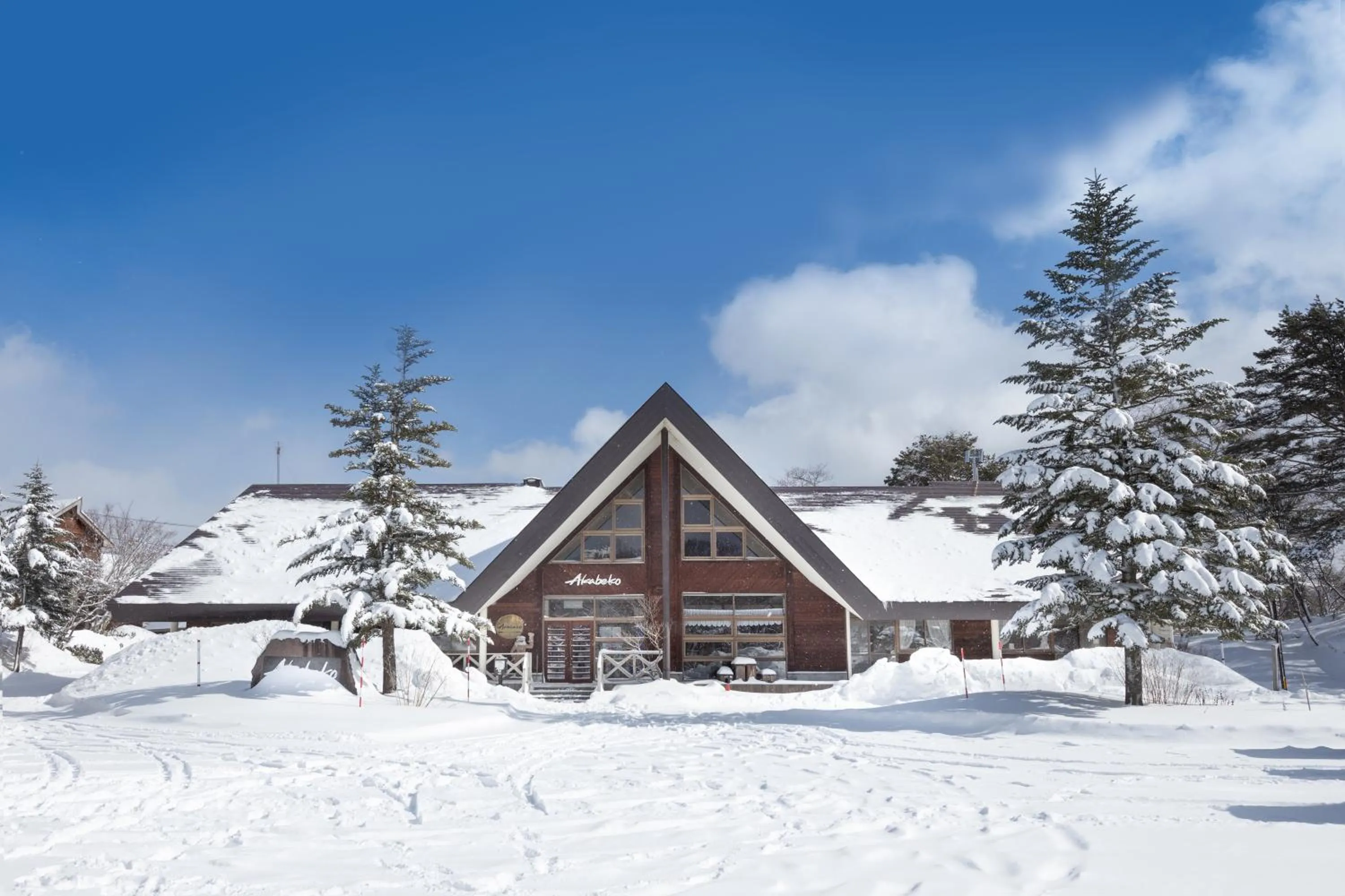 Winter in Nature Cottage Akabeko