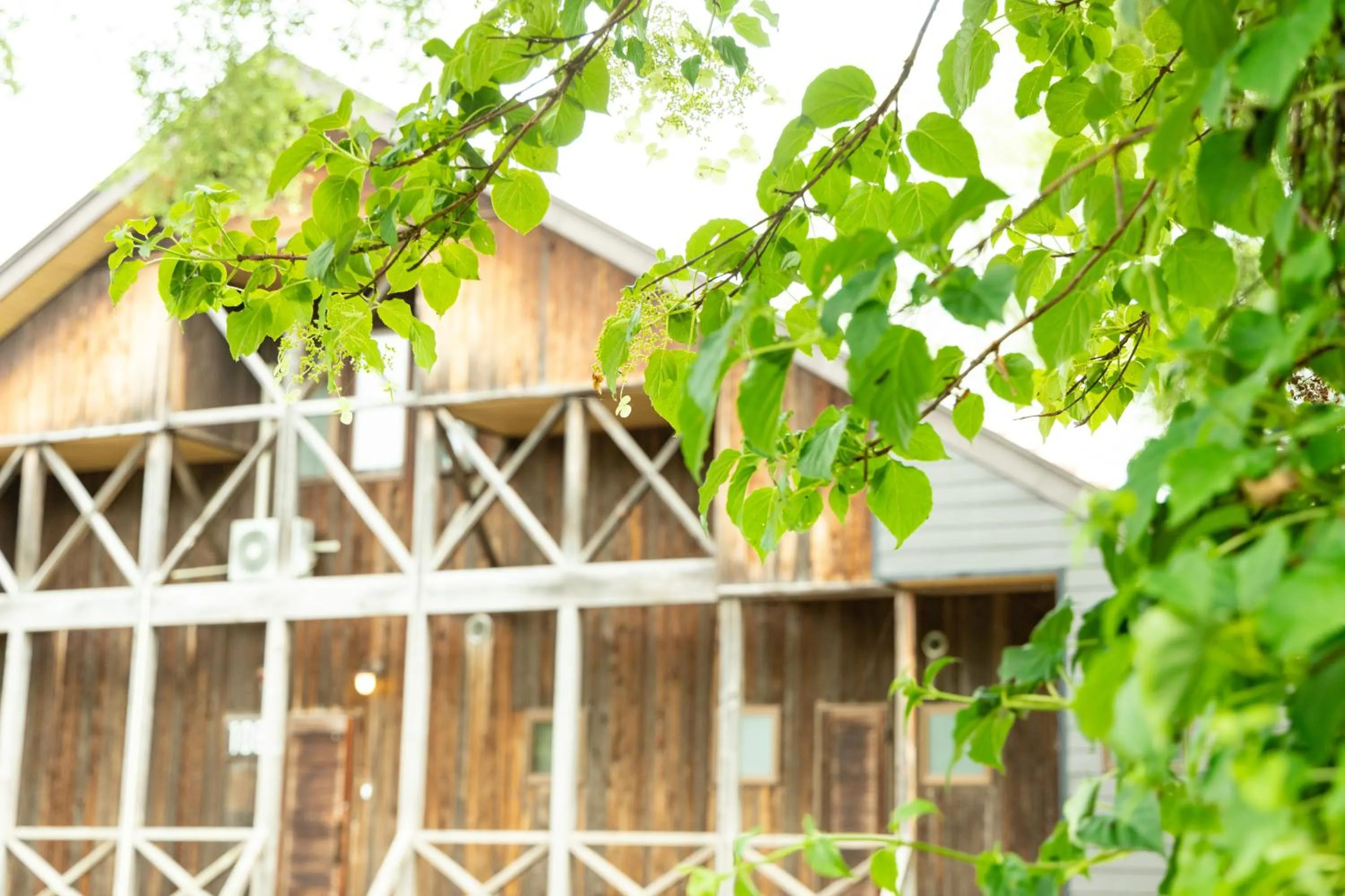 Property building in Nature Cottage Akabeko