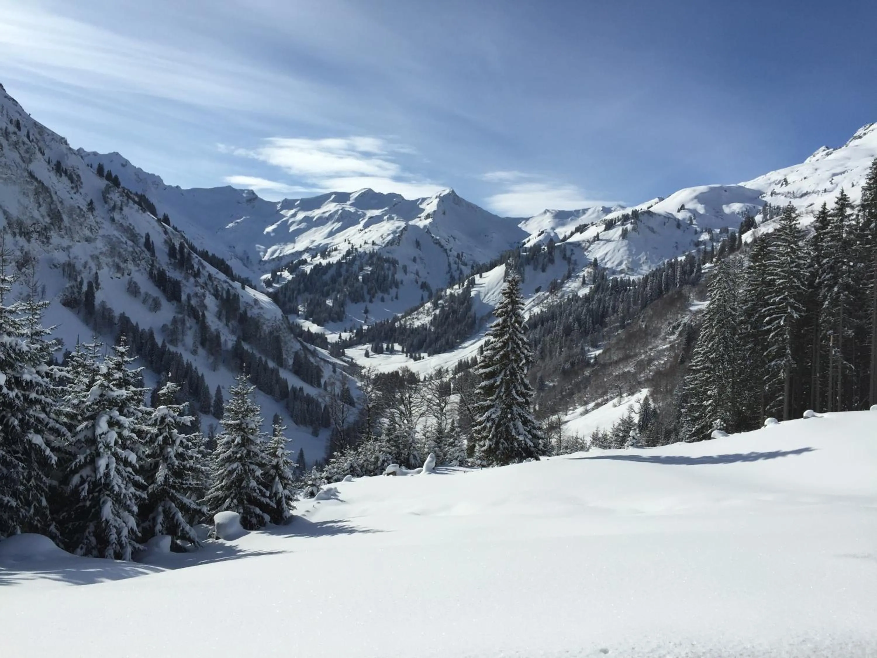 Natural landscape in Hotel-Gasthof Der Wiesengrund