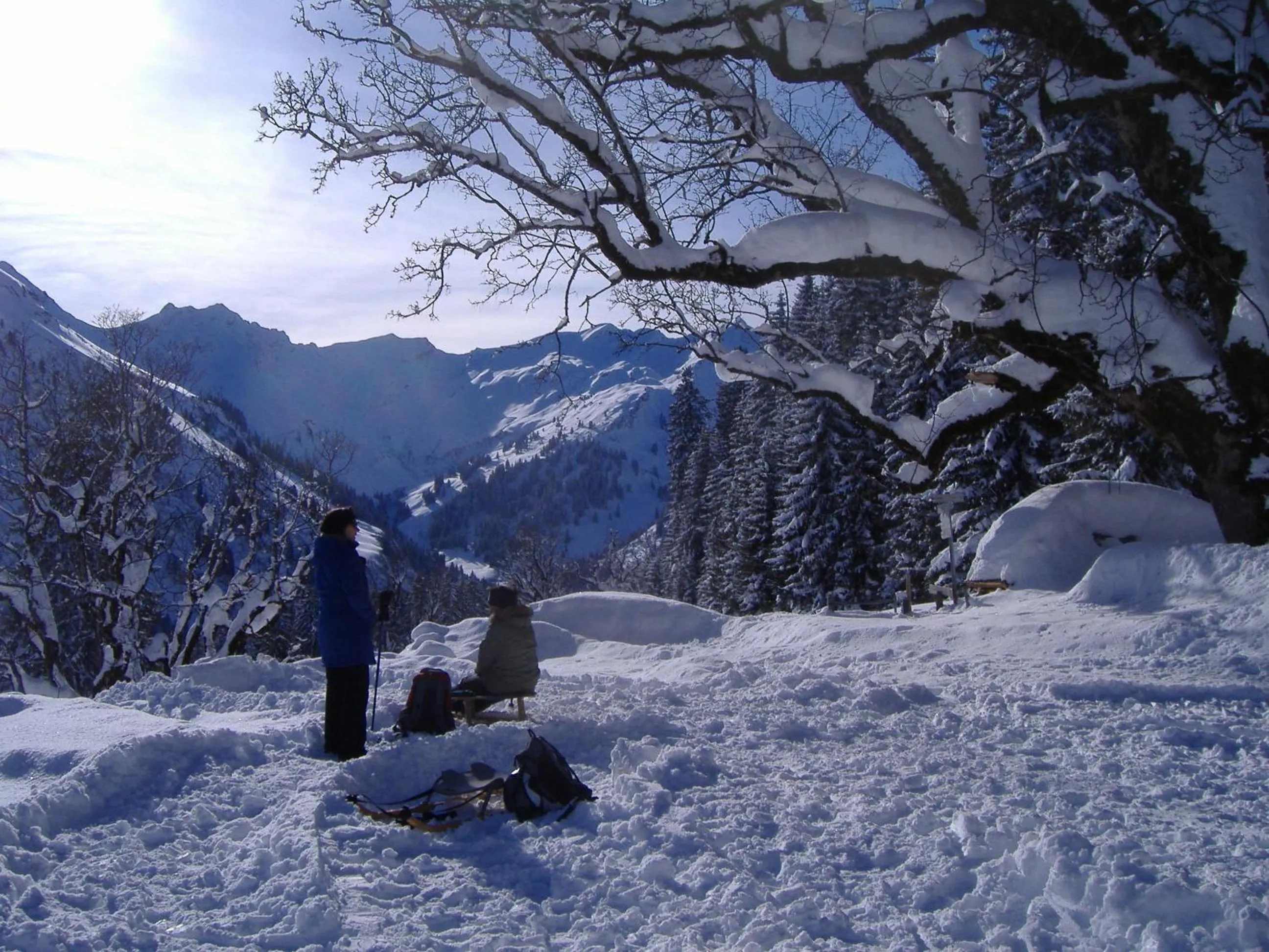 Area and facilities in Hotel-Gasthof Der Wiesengrund