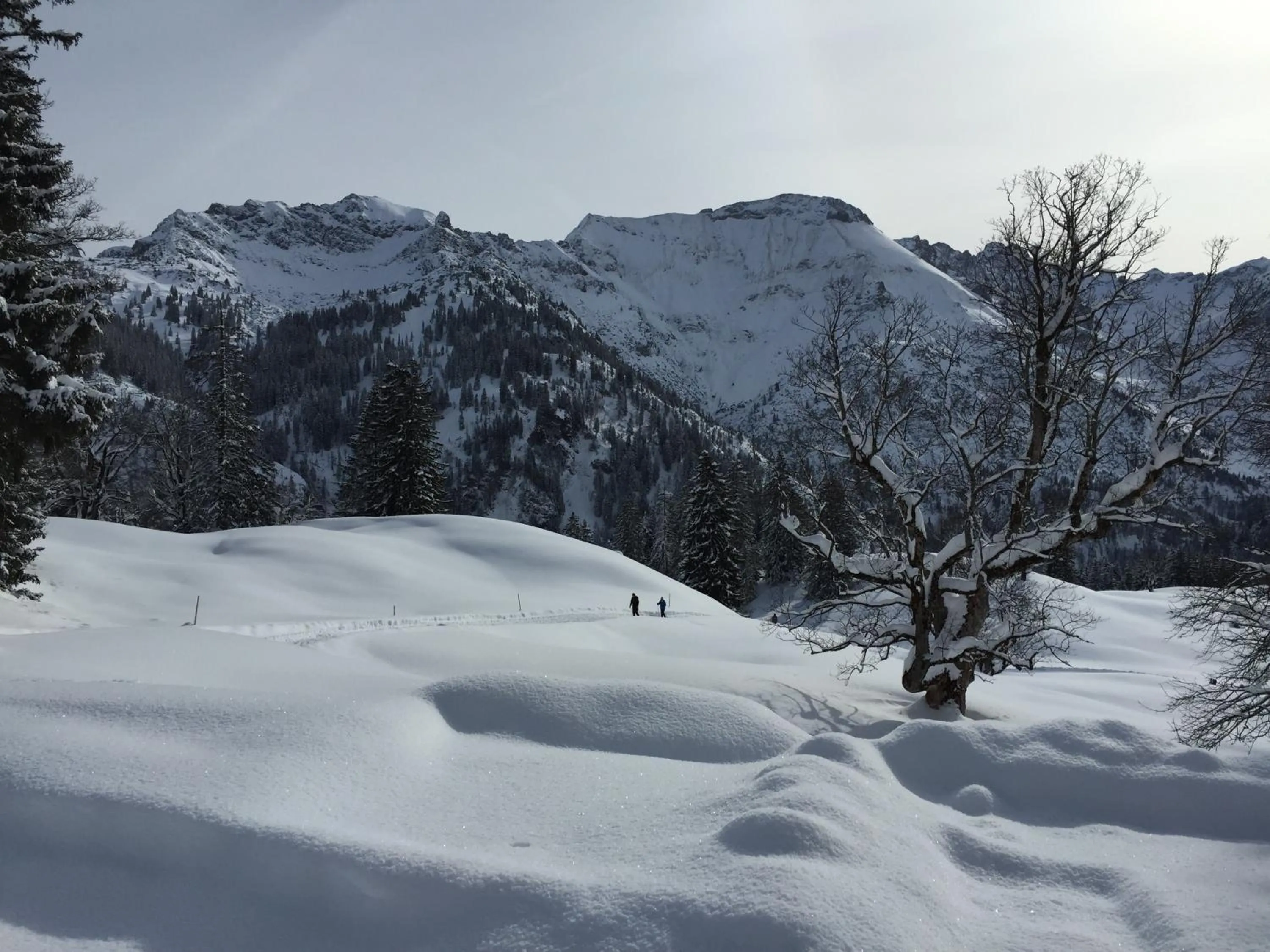 Facade/entrance in Hotel-Gasthof Der Wiesengrund