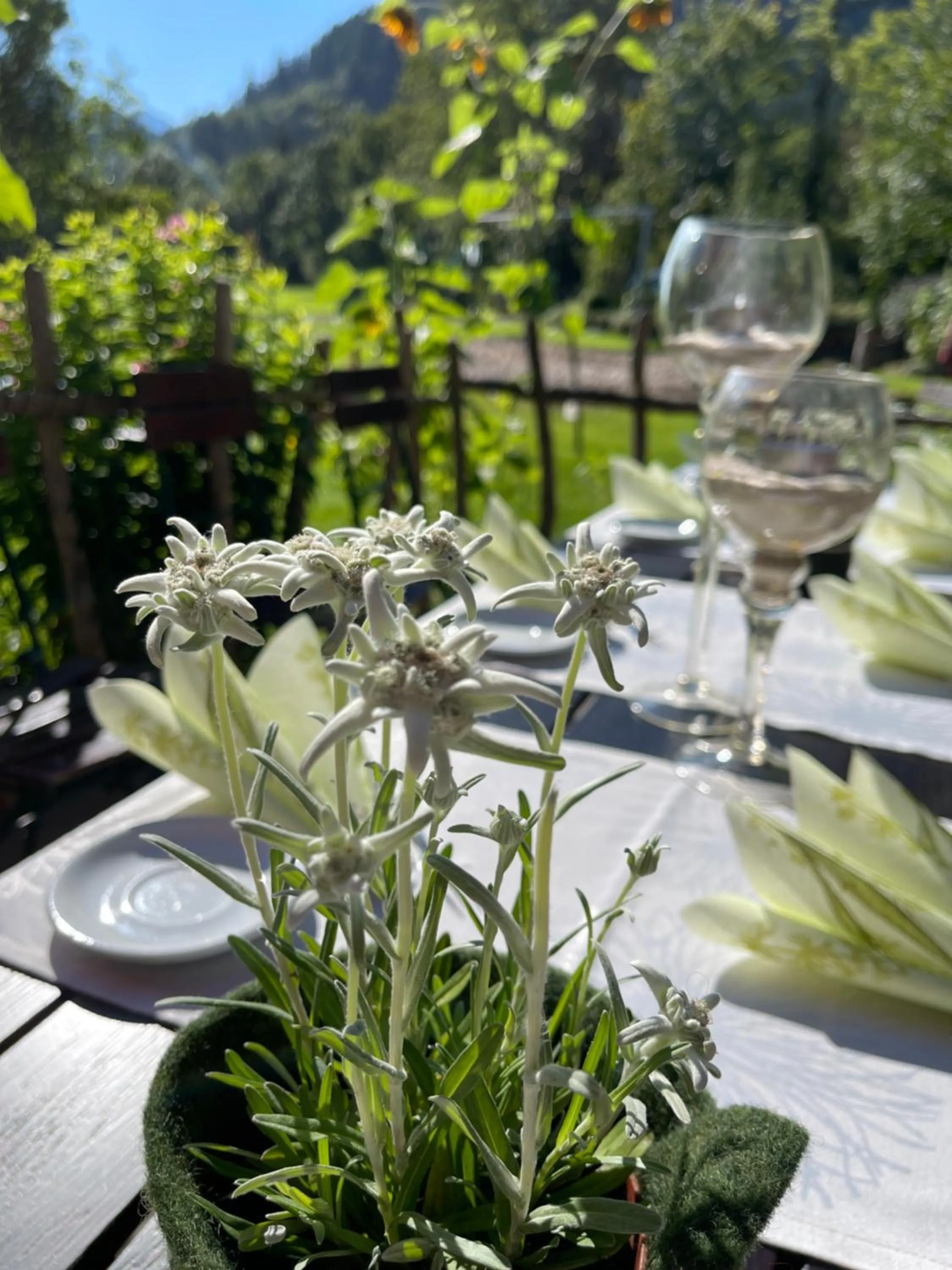 Restaurant/places to eat in Hotel-Gasthof Der Wiesengrund