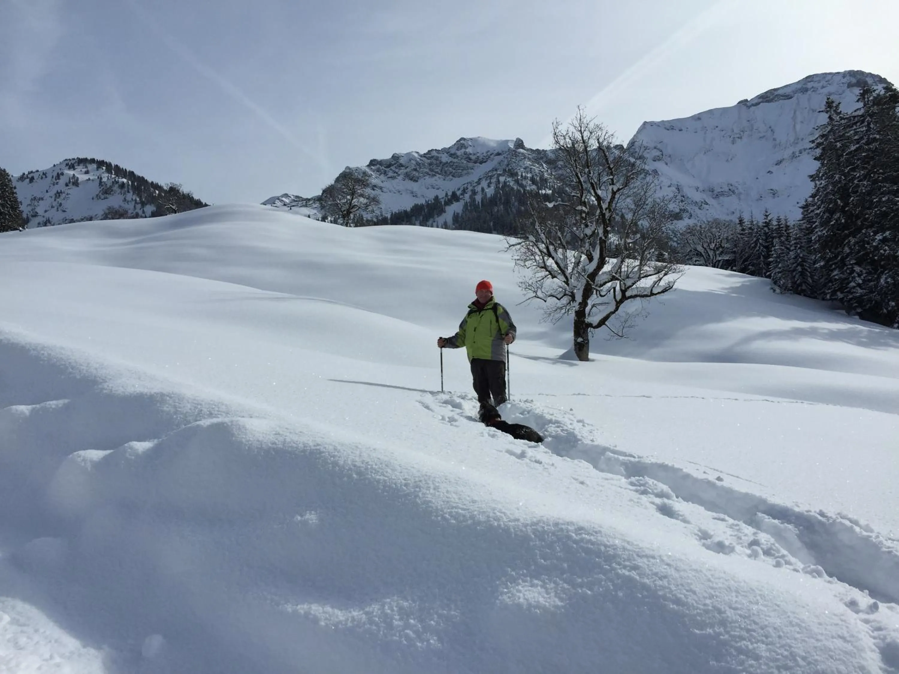 Facade/entrance in Hotel-Gasthof Der Wiesengrund