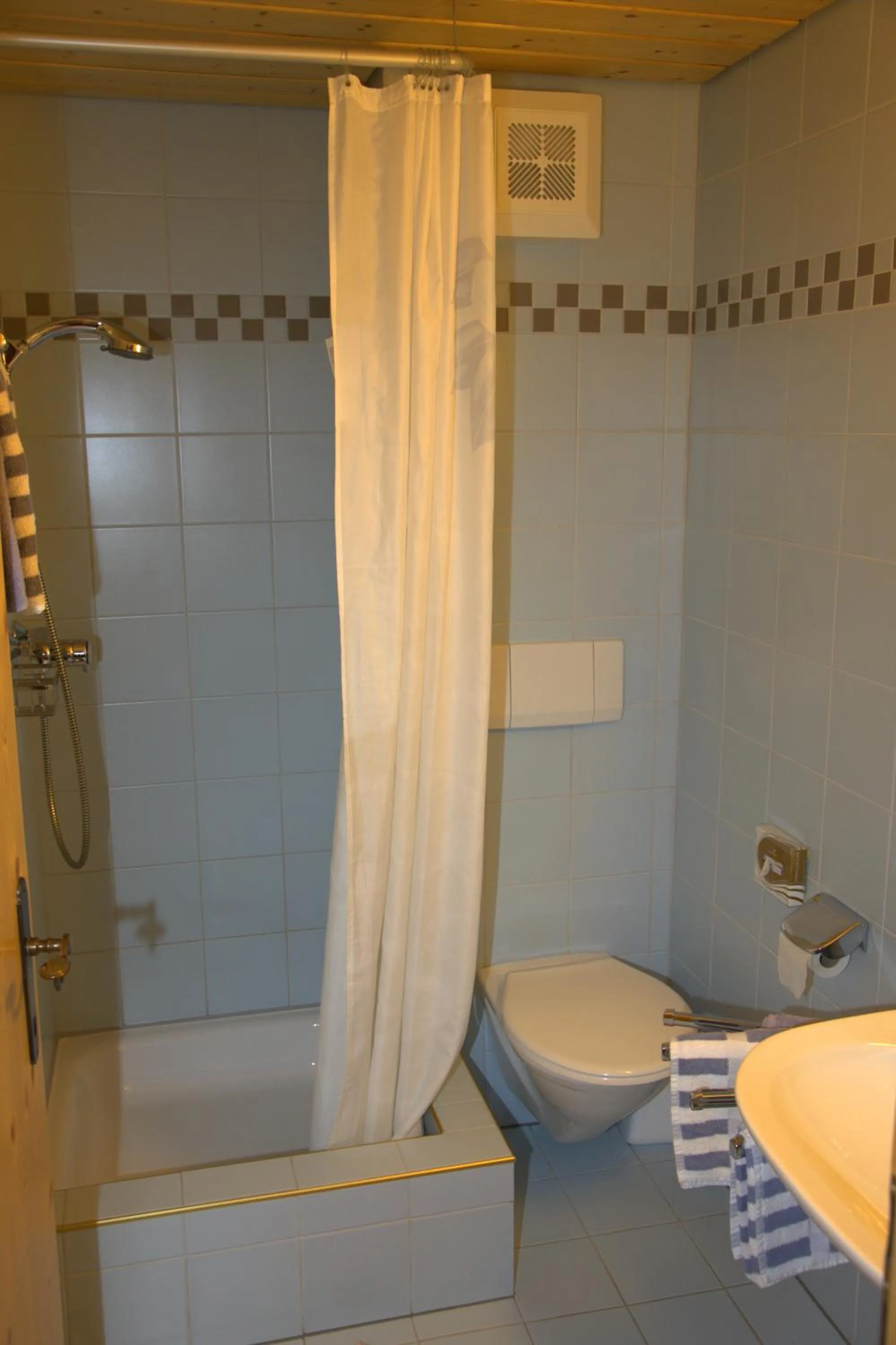 Shower in Apartment Madlaina