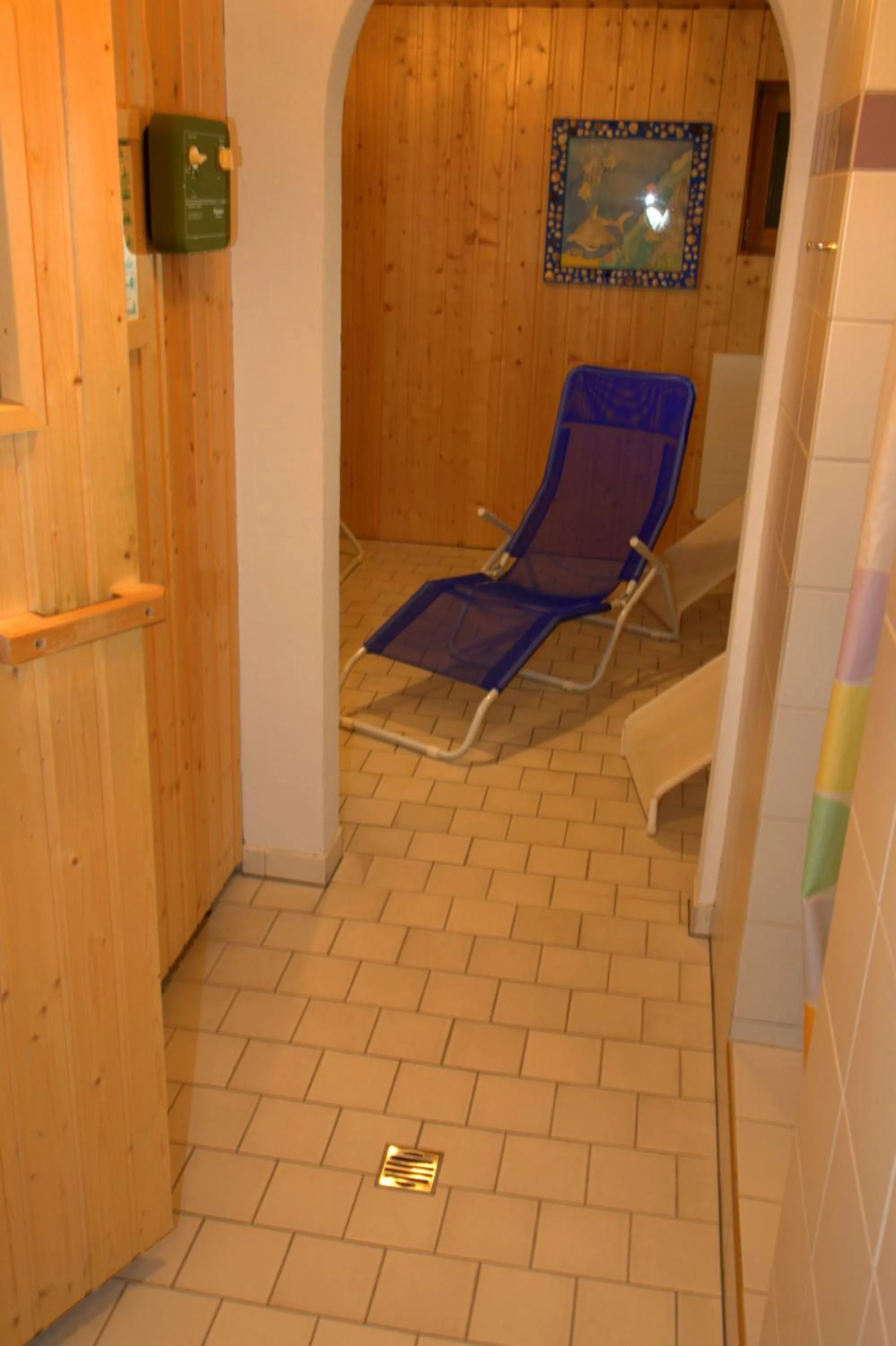 Spa and wellness centre/facilities in Apartment Madlaina
