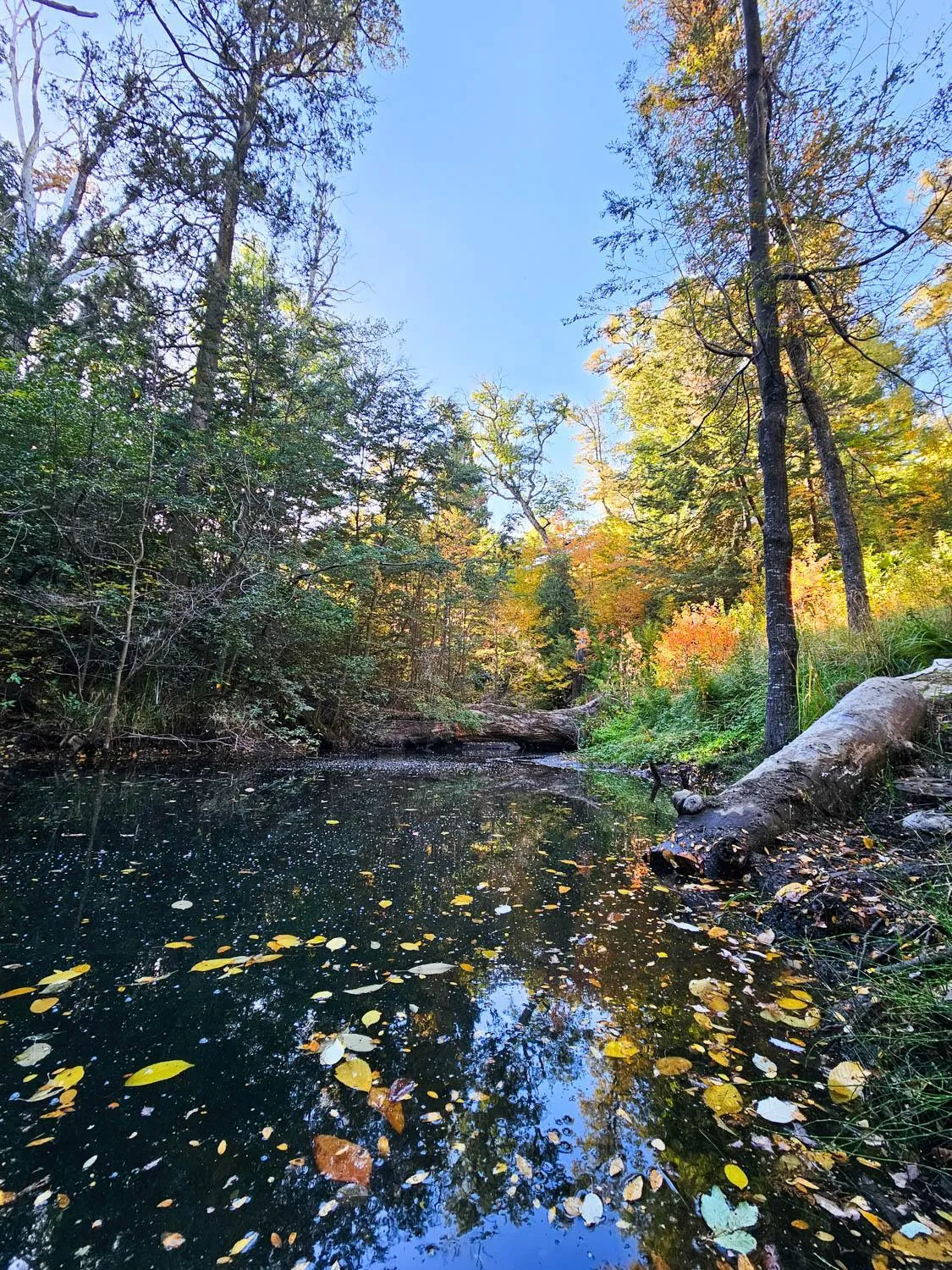 Natural landscape in Rotui Luxury Village