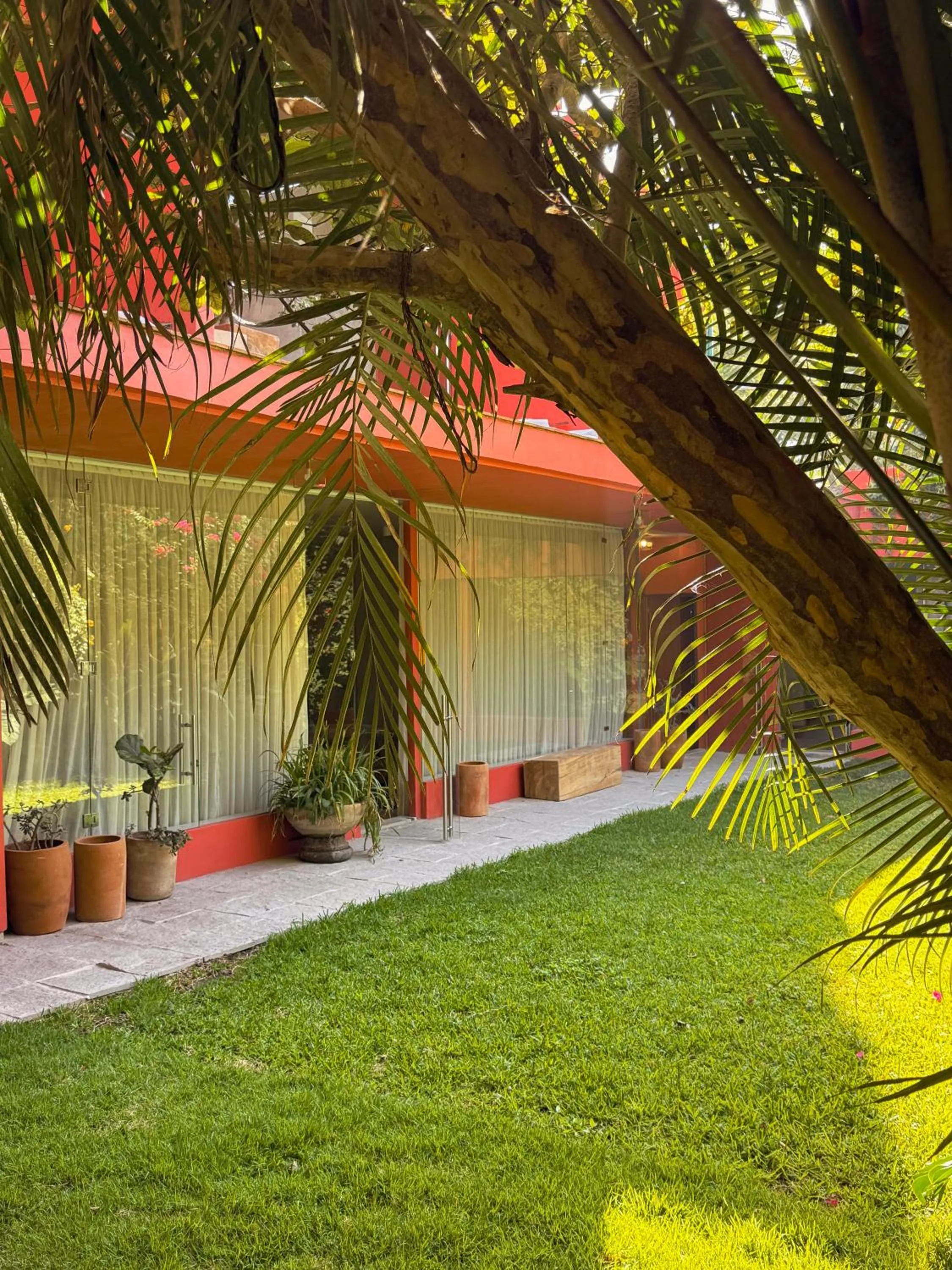 Natural landscape in Parque Juan Diego