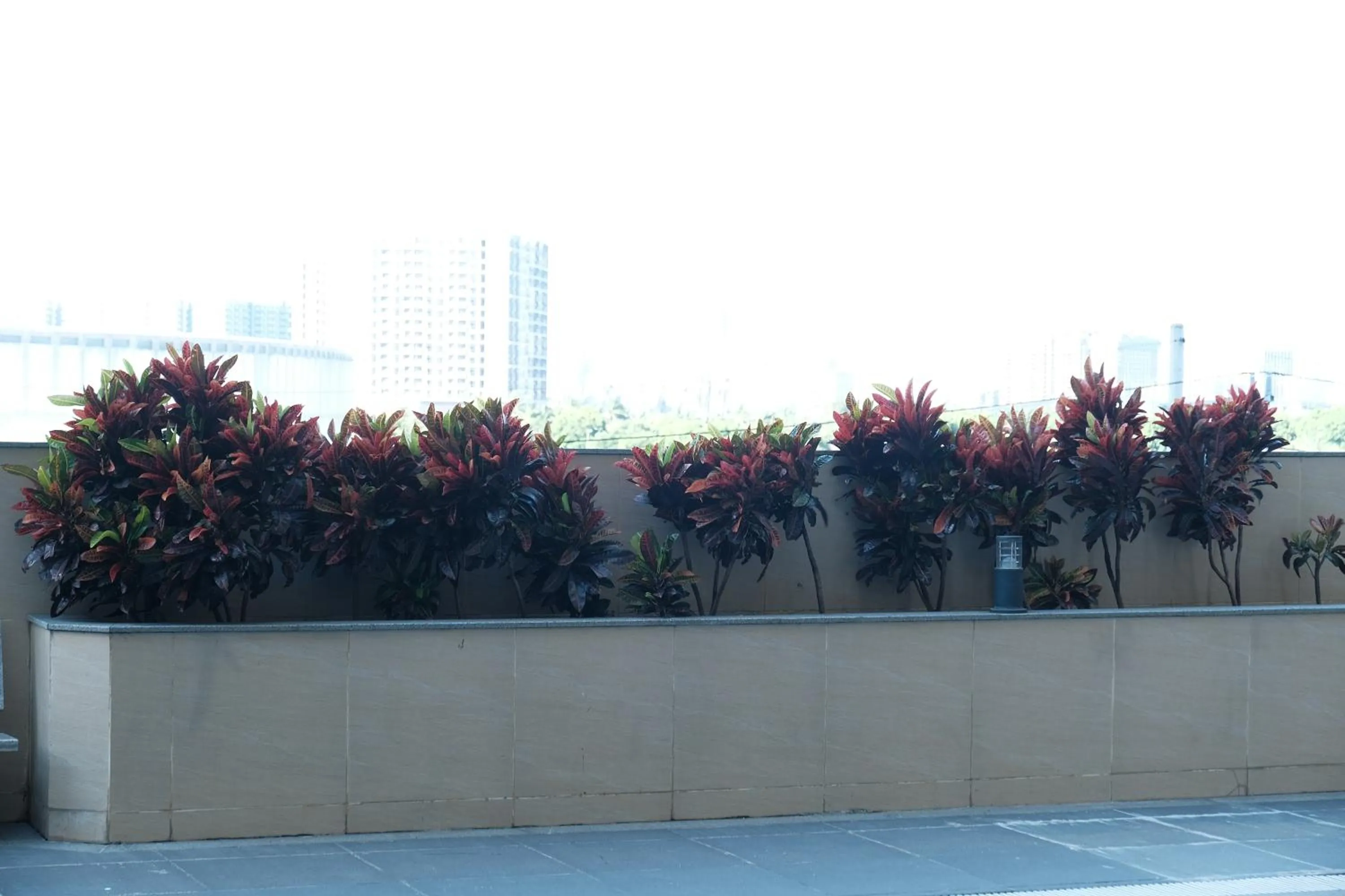 View (from property/room) in Golden Seagulls Hotel