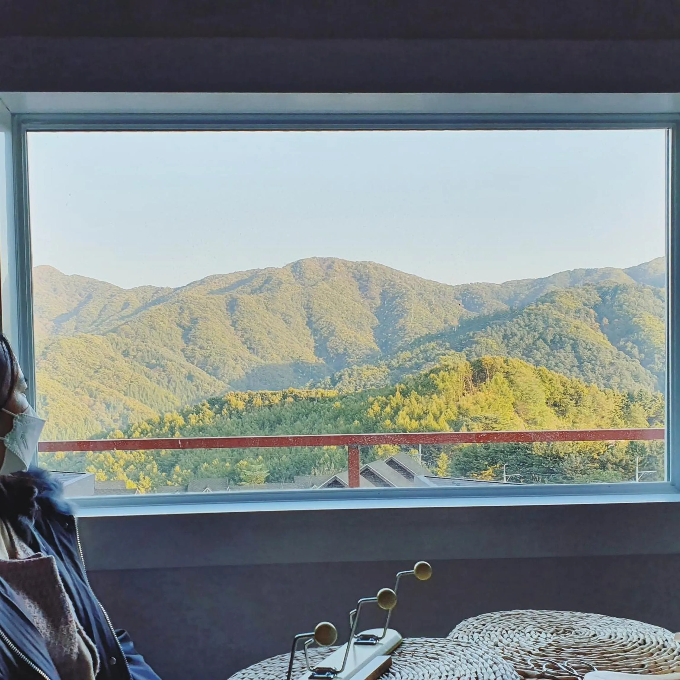 Gapyeong Stayel pet Pension