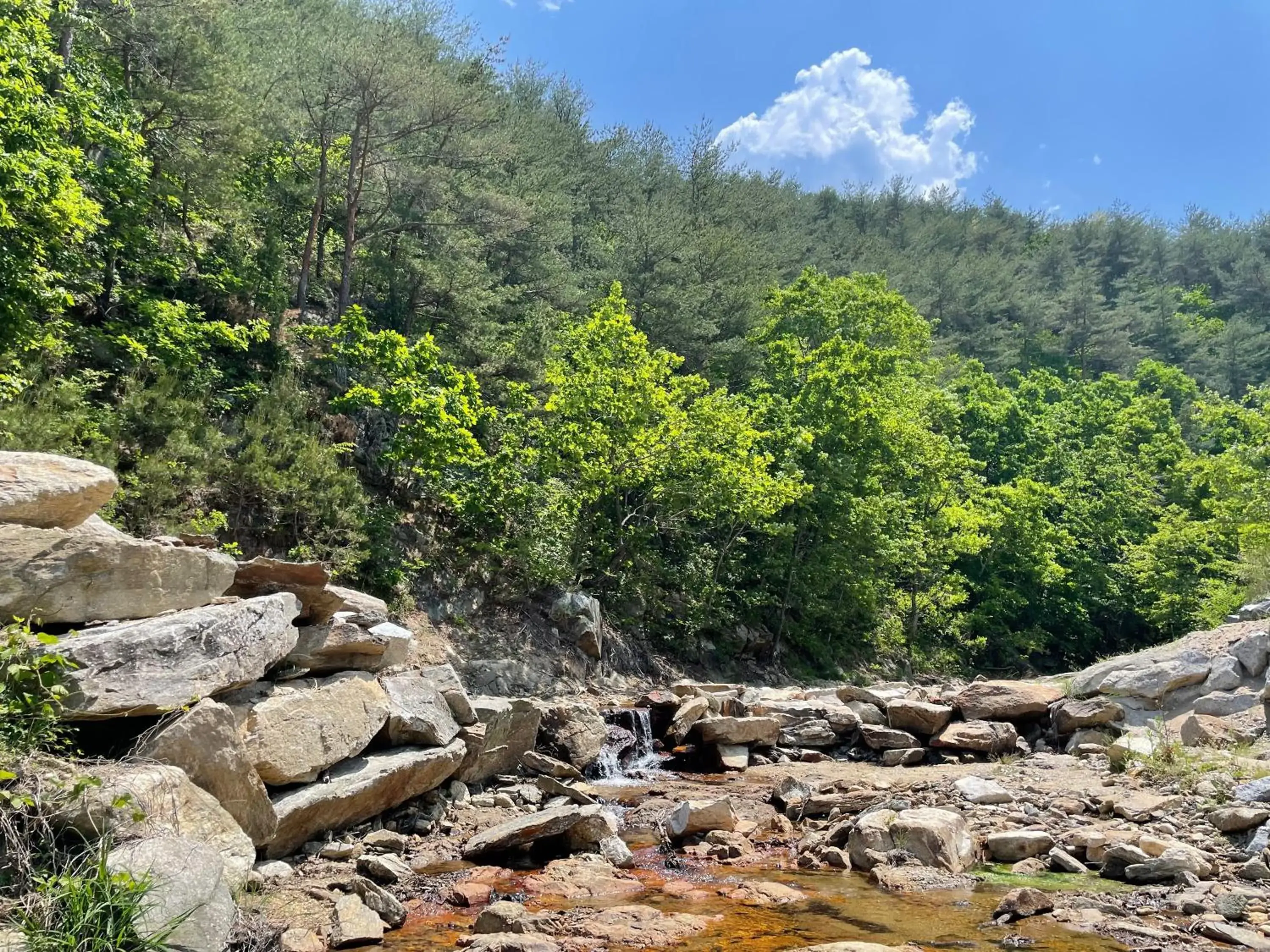 Yangyang Dalpaengi Pension Yangyang Dalpaengi Pension