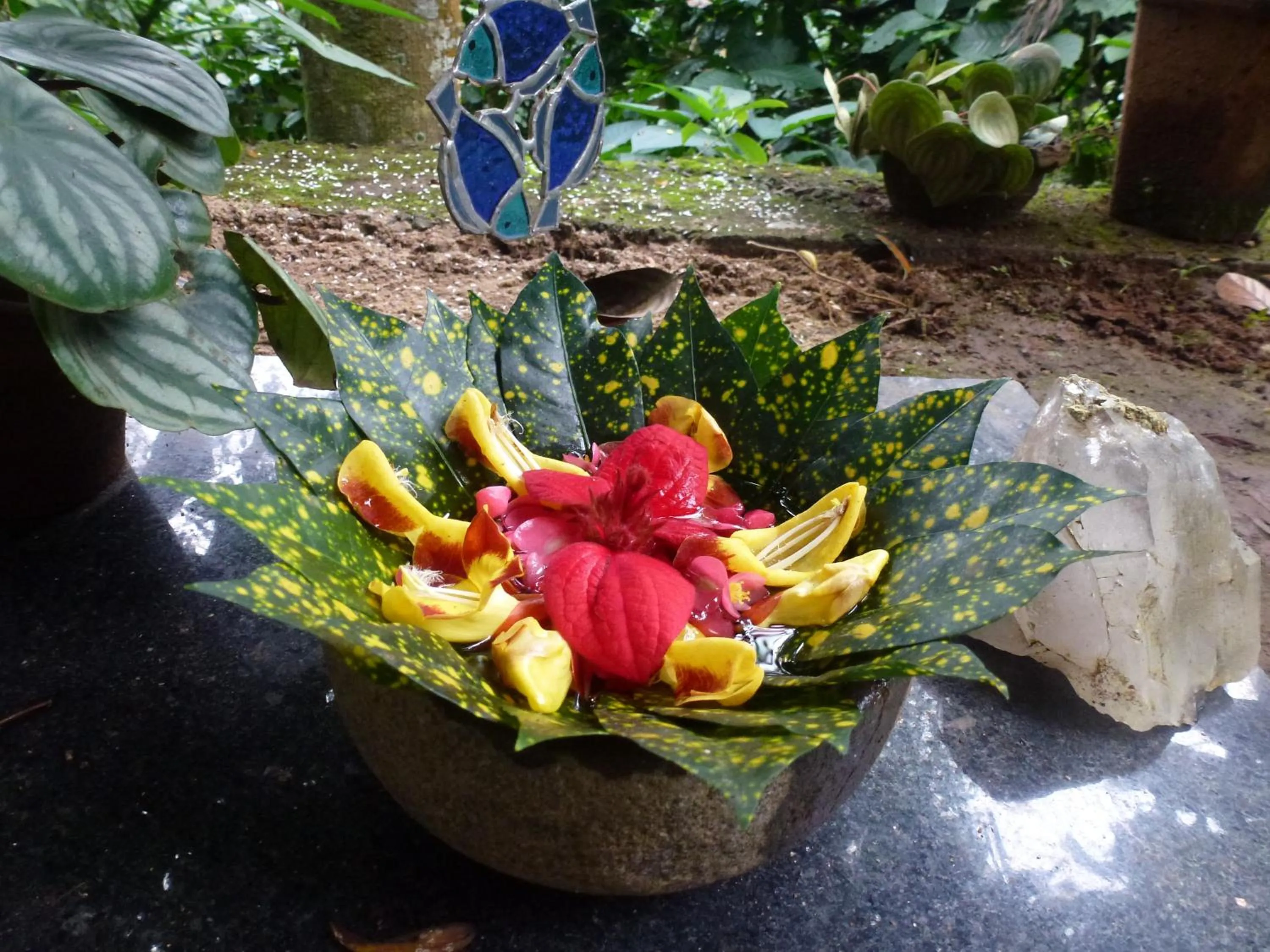 Garden in Chrissie's Hotel