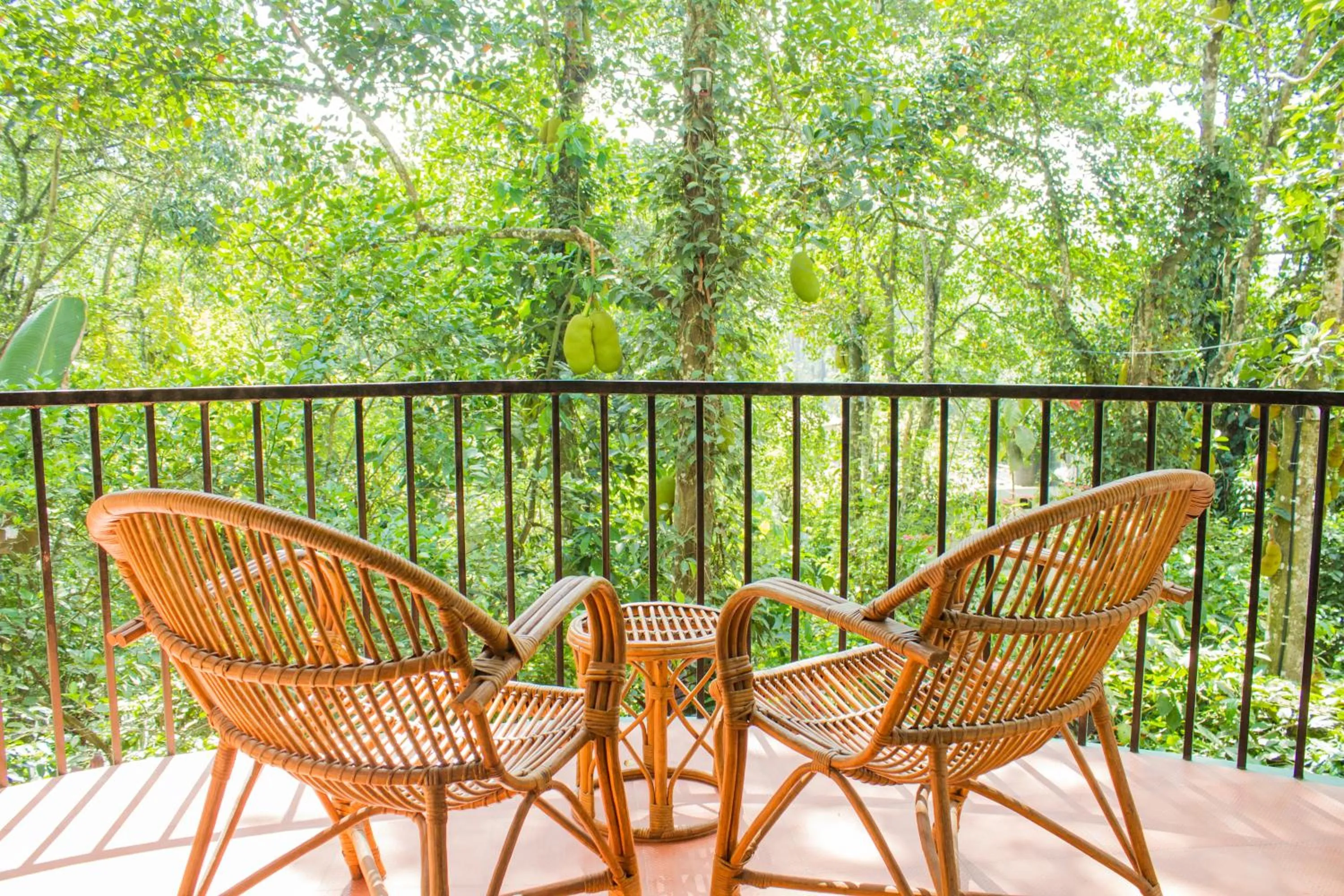 Balcony/Terrace in Chrissie's Hotel