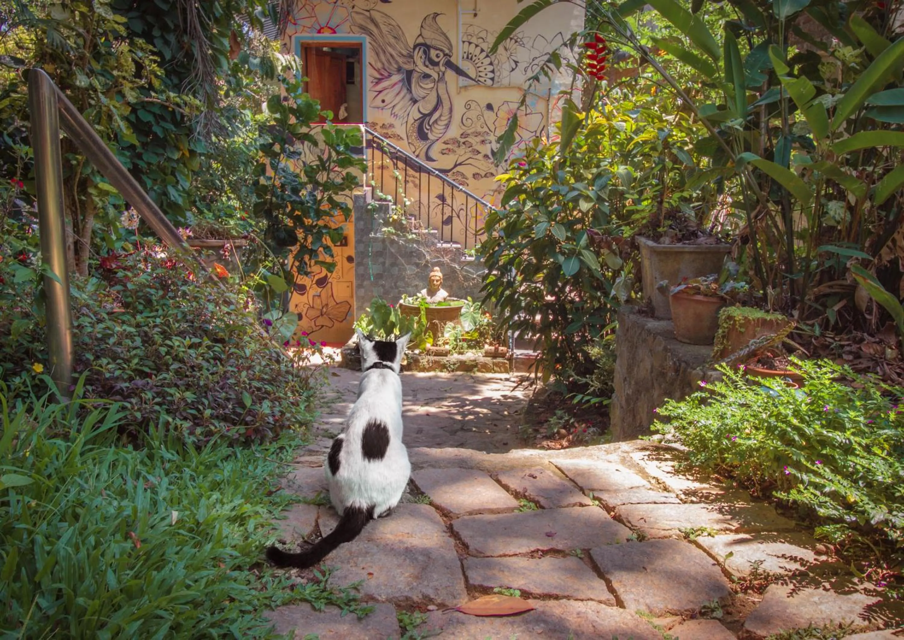 Garden in Chrissie's Hotel