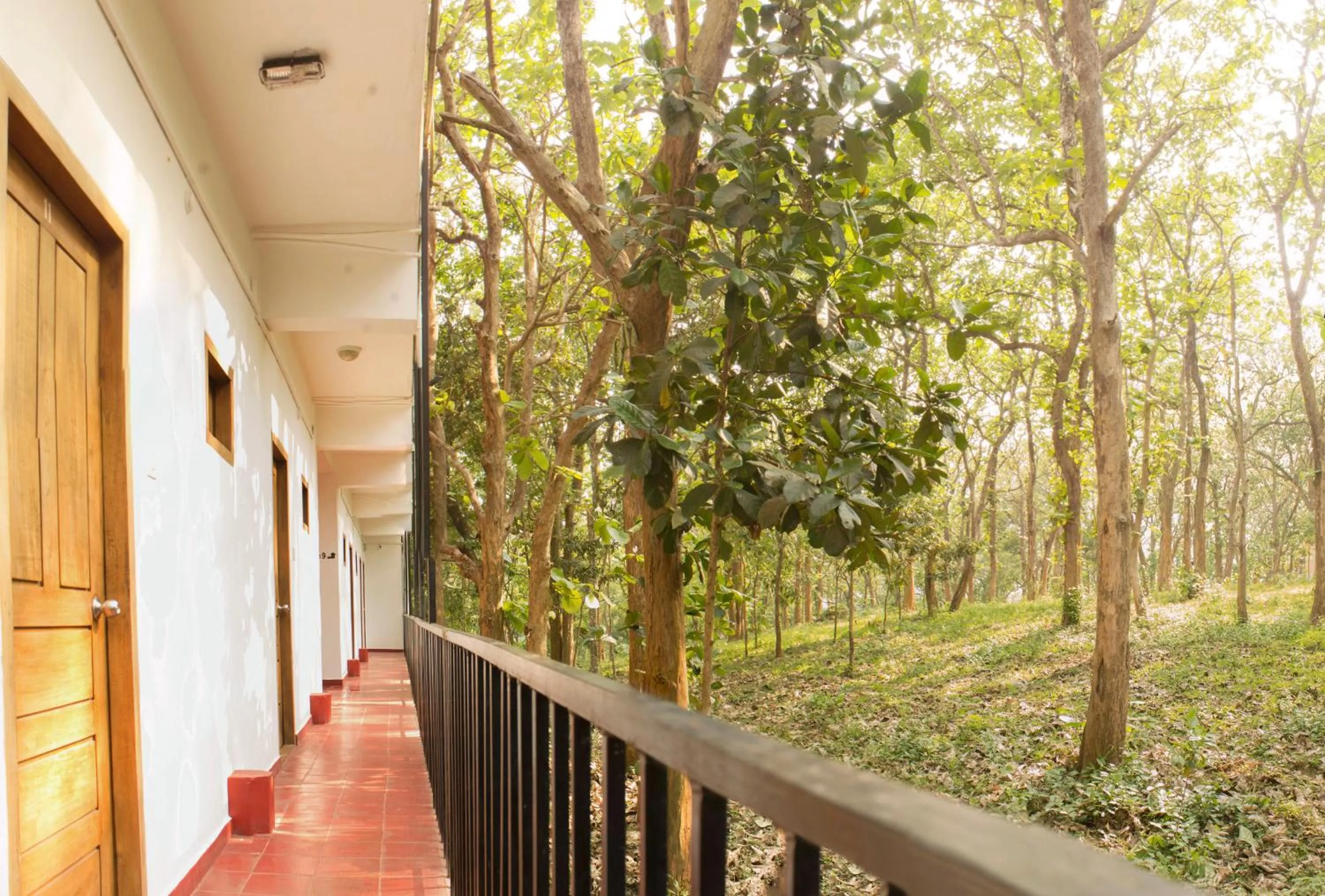 Natural landscape in Chrissie's Hotel