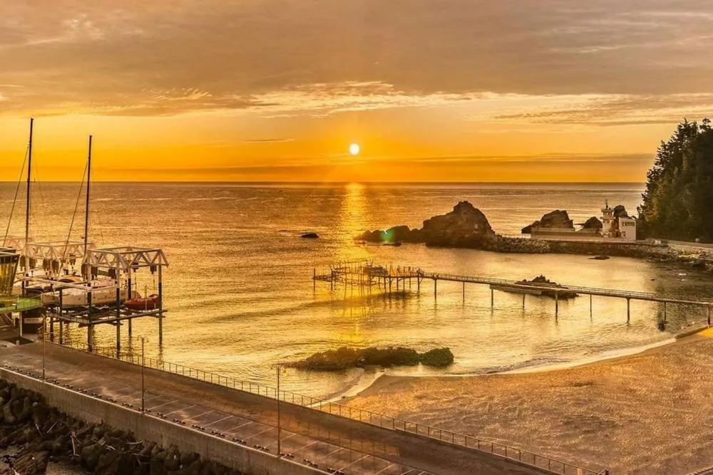 The Great Ocean Pension