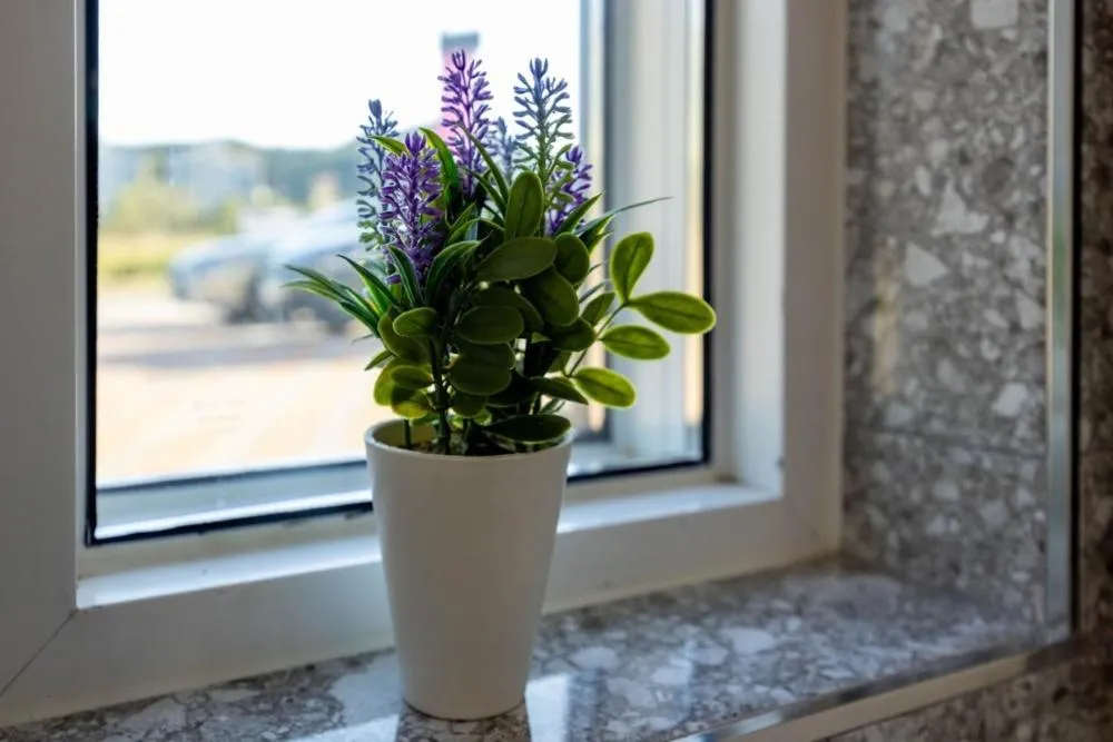 Yangyang Hajodae Sungsim Pension