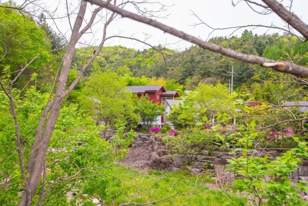 Pyeongchang Zermatt Pension Family, Couple Pyeongchang Zermatt Pension Family, Couple