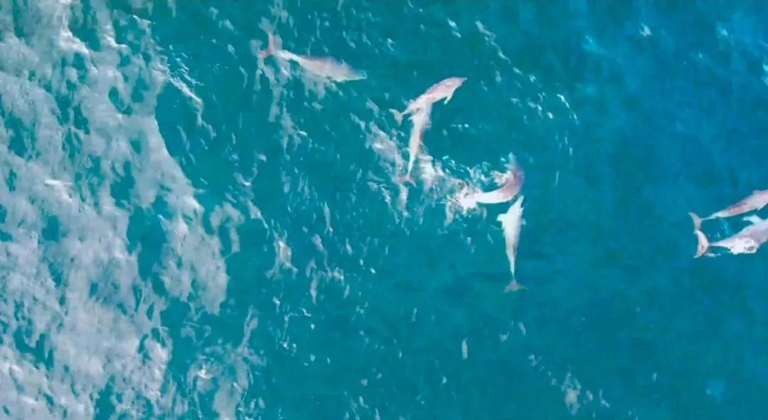 Daejung Secret Gennie Poolvilla