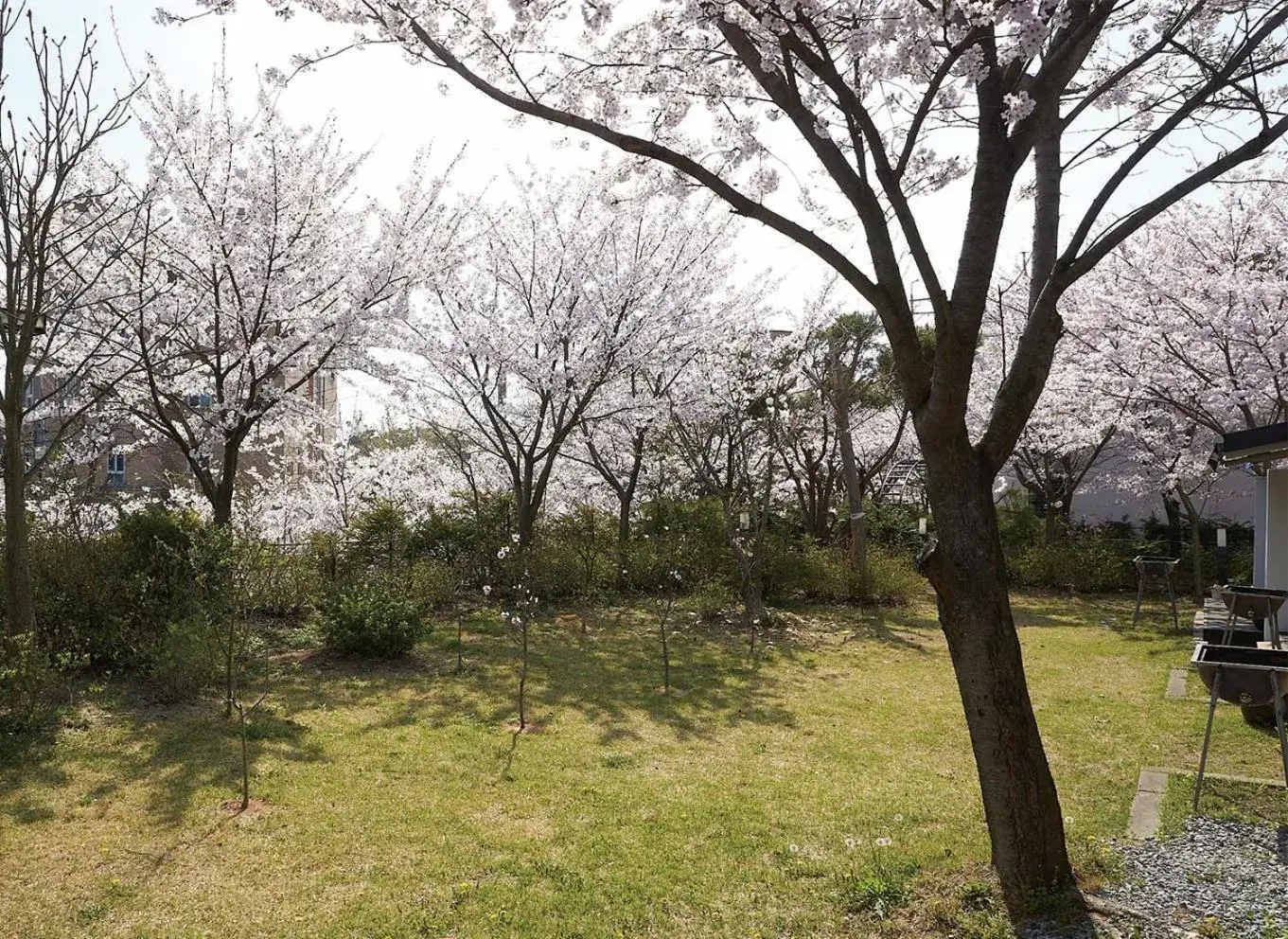 Whity pension Whity pension