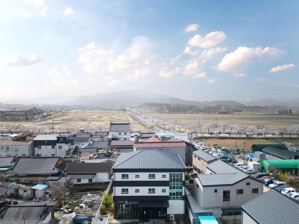 Gyeongju Guesthouse Picnic