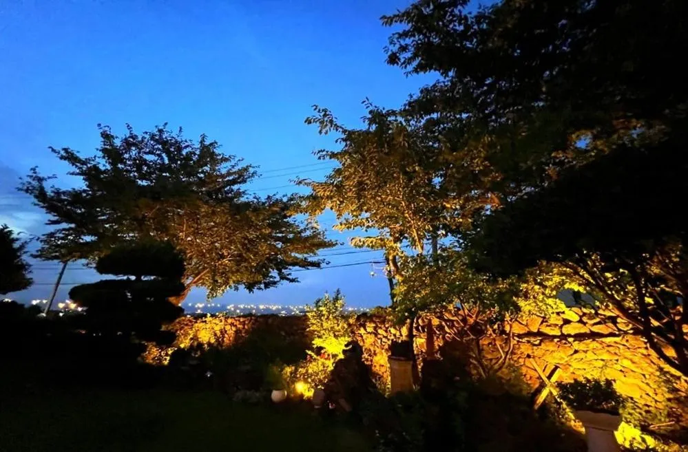 Jeju Haebyeol Private Pension Pet friendly