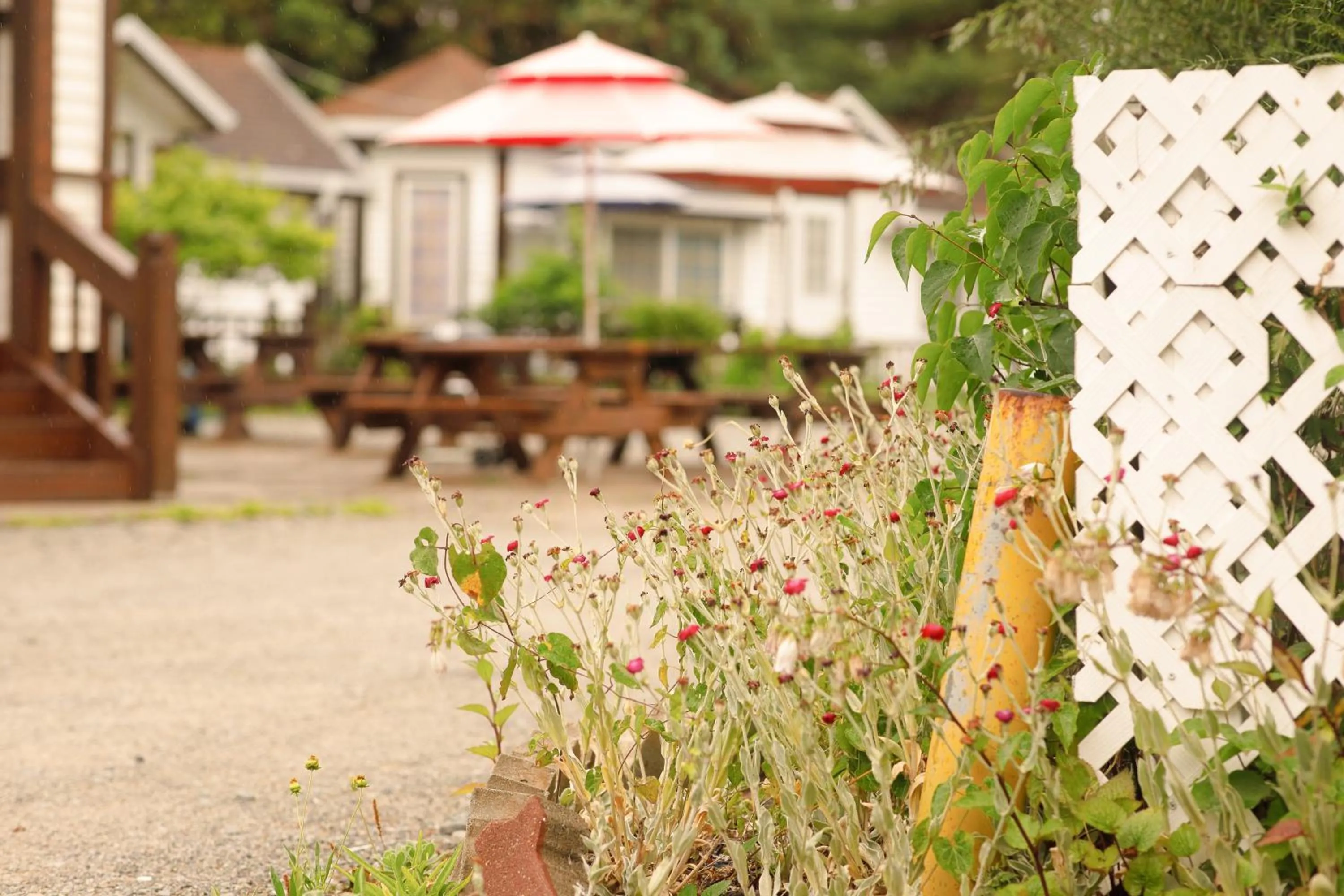 ahnmyeondo mabupisung pension