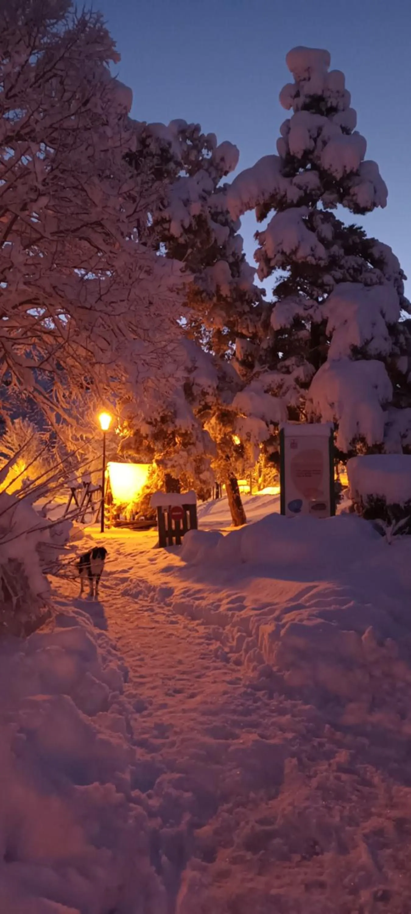 Natural landscape in VVF Haute Loire Saint-Julien-Chapteuil