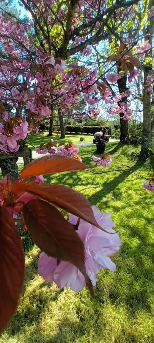 Day in VVF Haute Loire Saint-Julien-Chapteuil