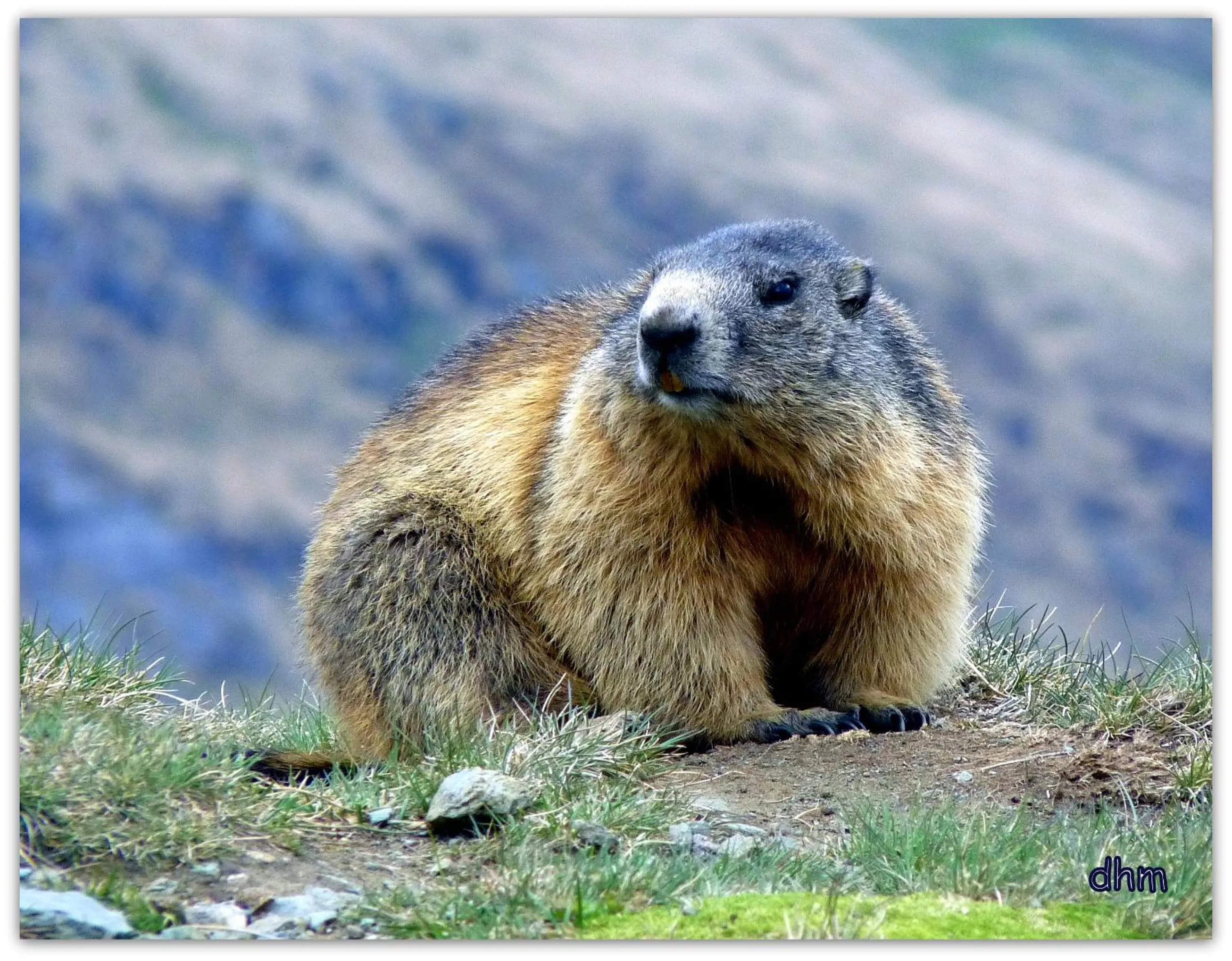 Summer in VVF Val-Cenis Haute-Maurienne