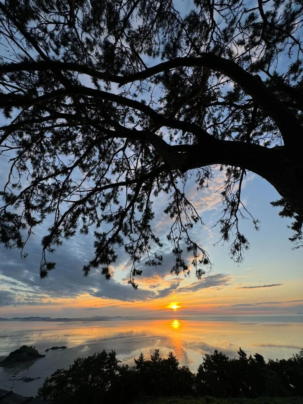 Road96 Caravan and Poolvilla