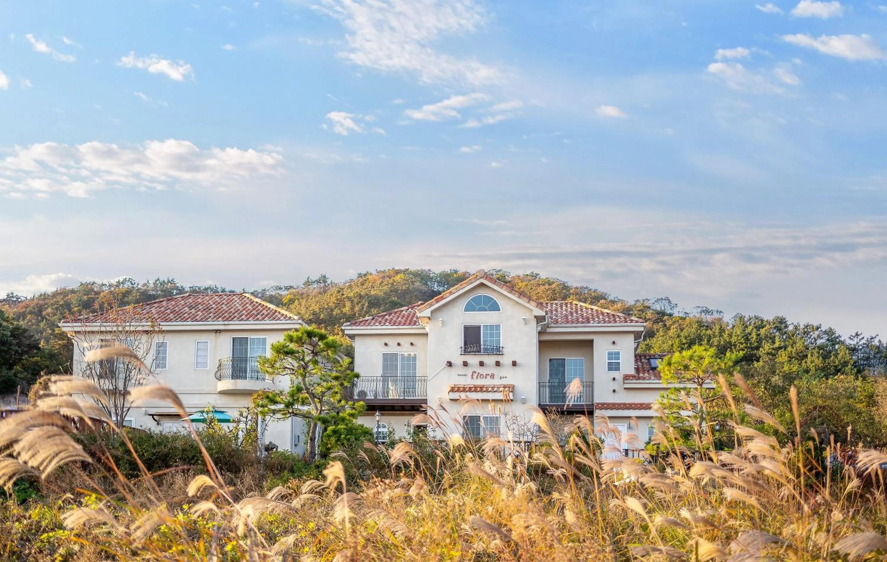 Buan Flaura Pension