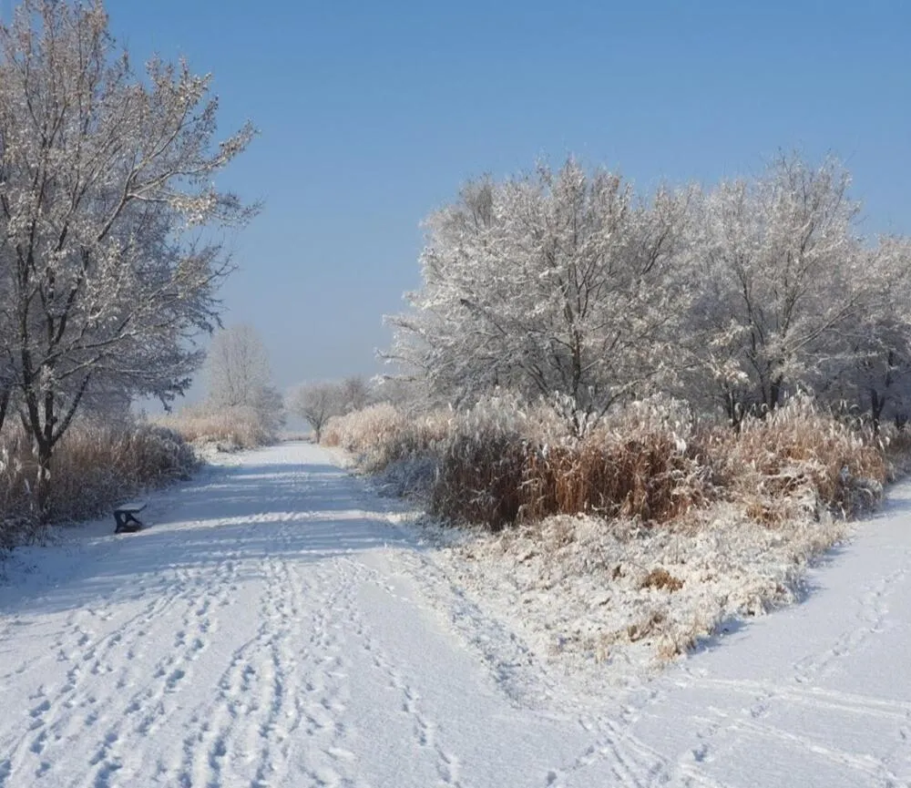 Buyeo Eoksae Jeongwon Pension