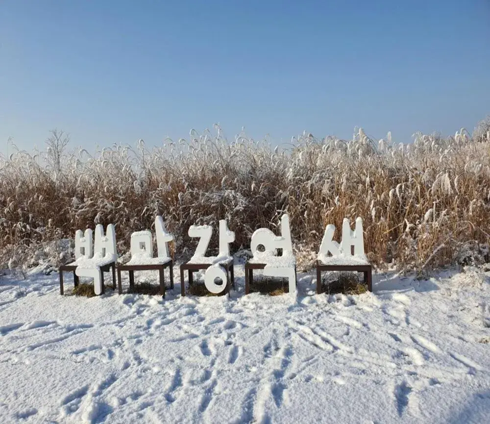 Buyeo Eoksae Jeongwon Pension Buyeo Eoksae Jeongwon Pension