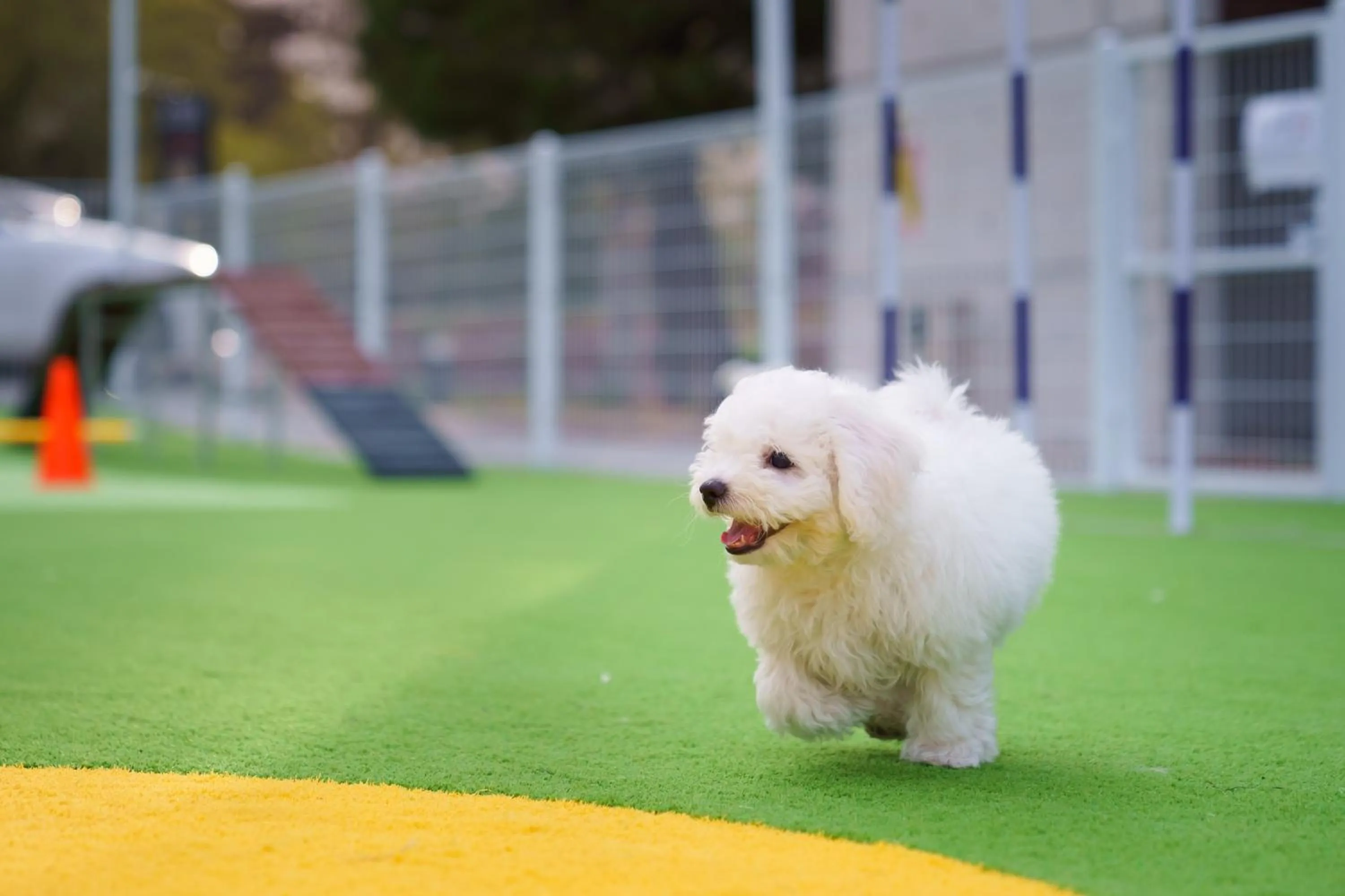 Kyeongju JS Pet Poolvilla