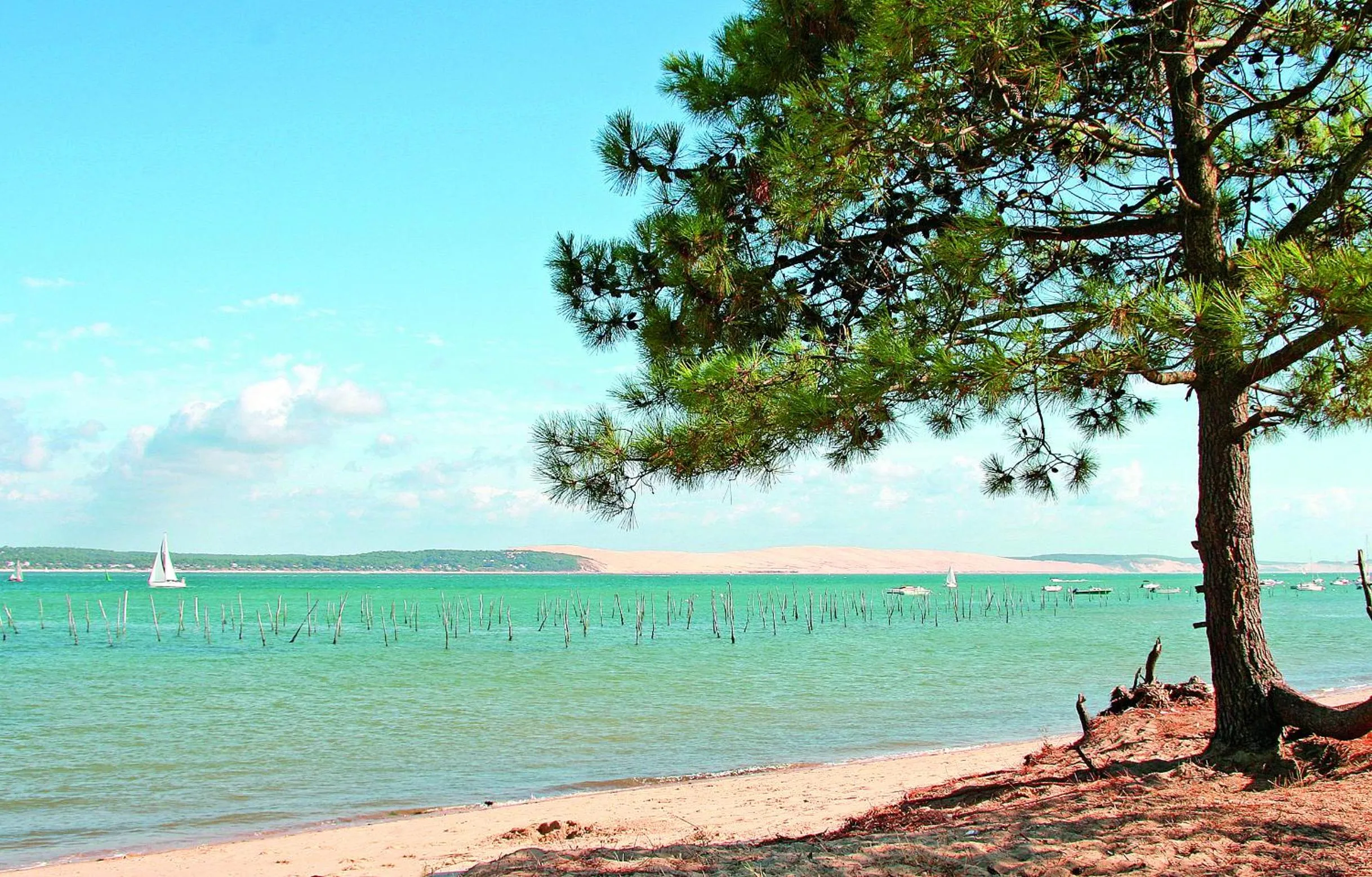 Off site in VVF Lège Cap Ferret