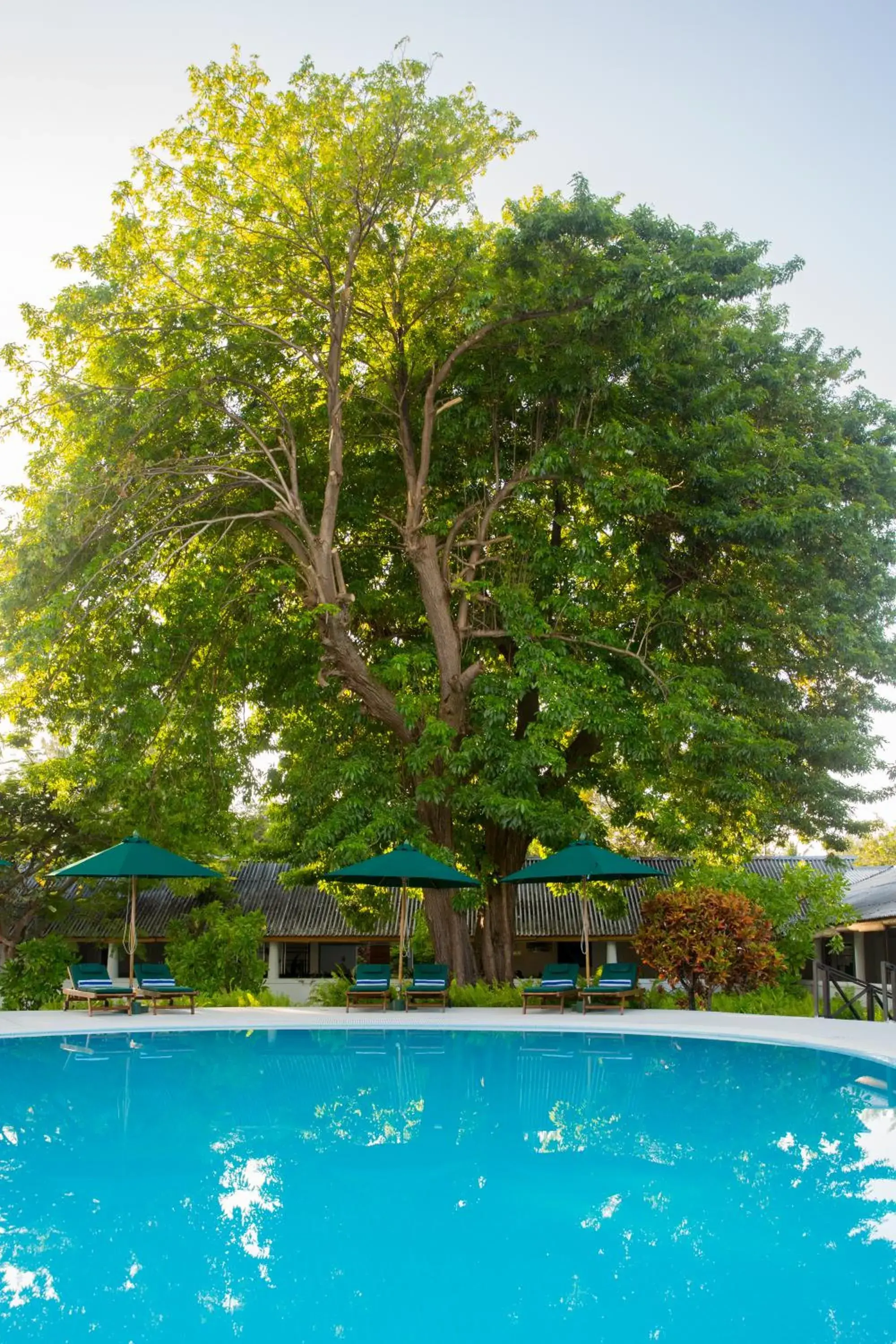 Swimming pool in Equator Village Maldives Swimming pool in Equator Village Maldives