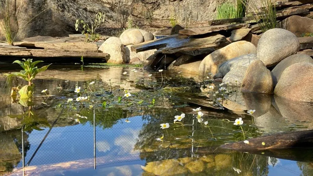 Garden in Hotel Rural El Arca de Noé