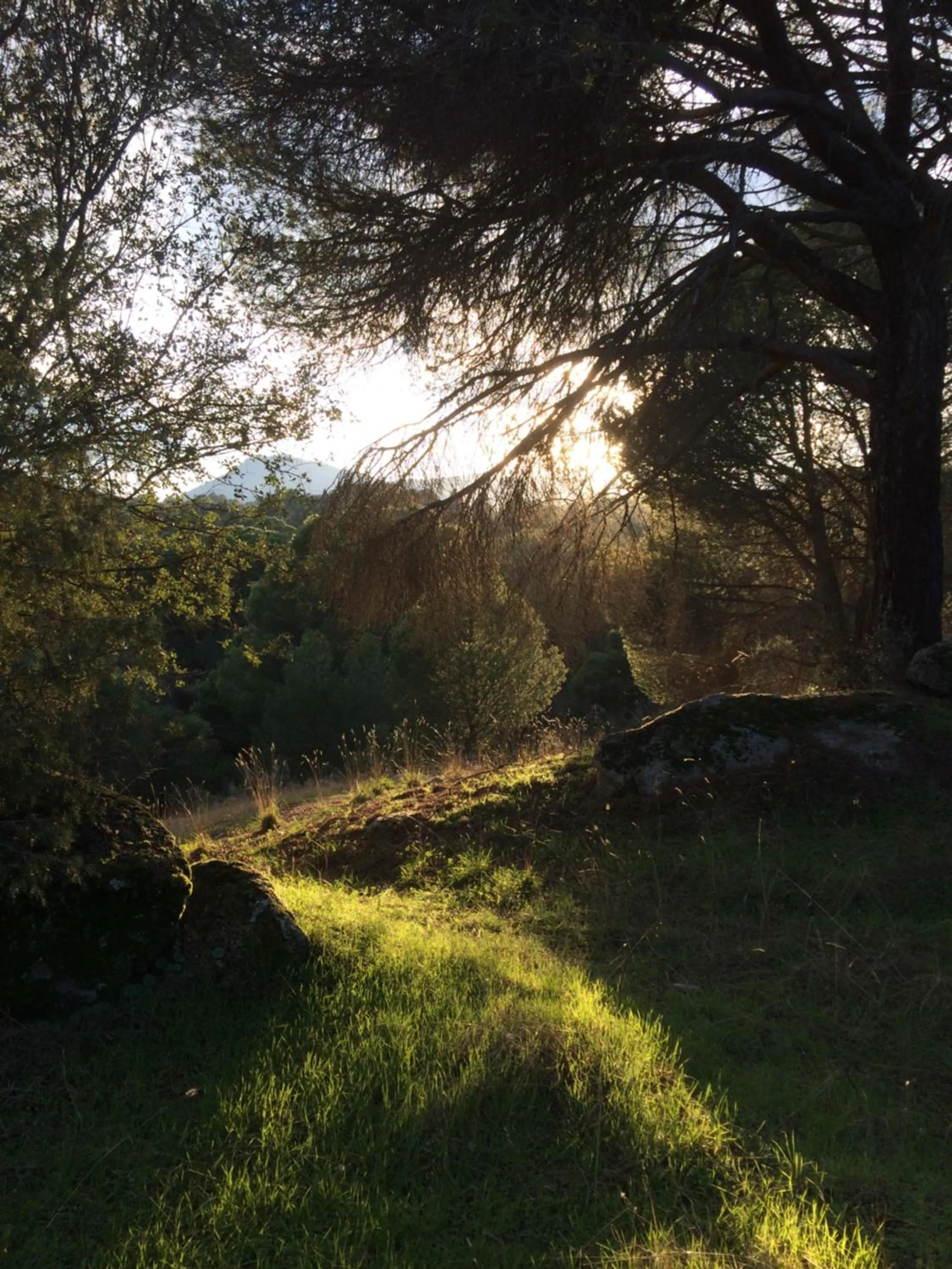 Natural landscape in Hotel Rural El Arca de Noé