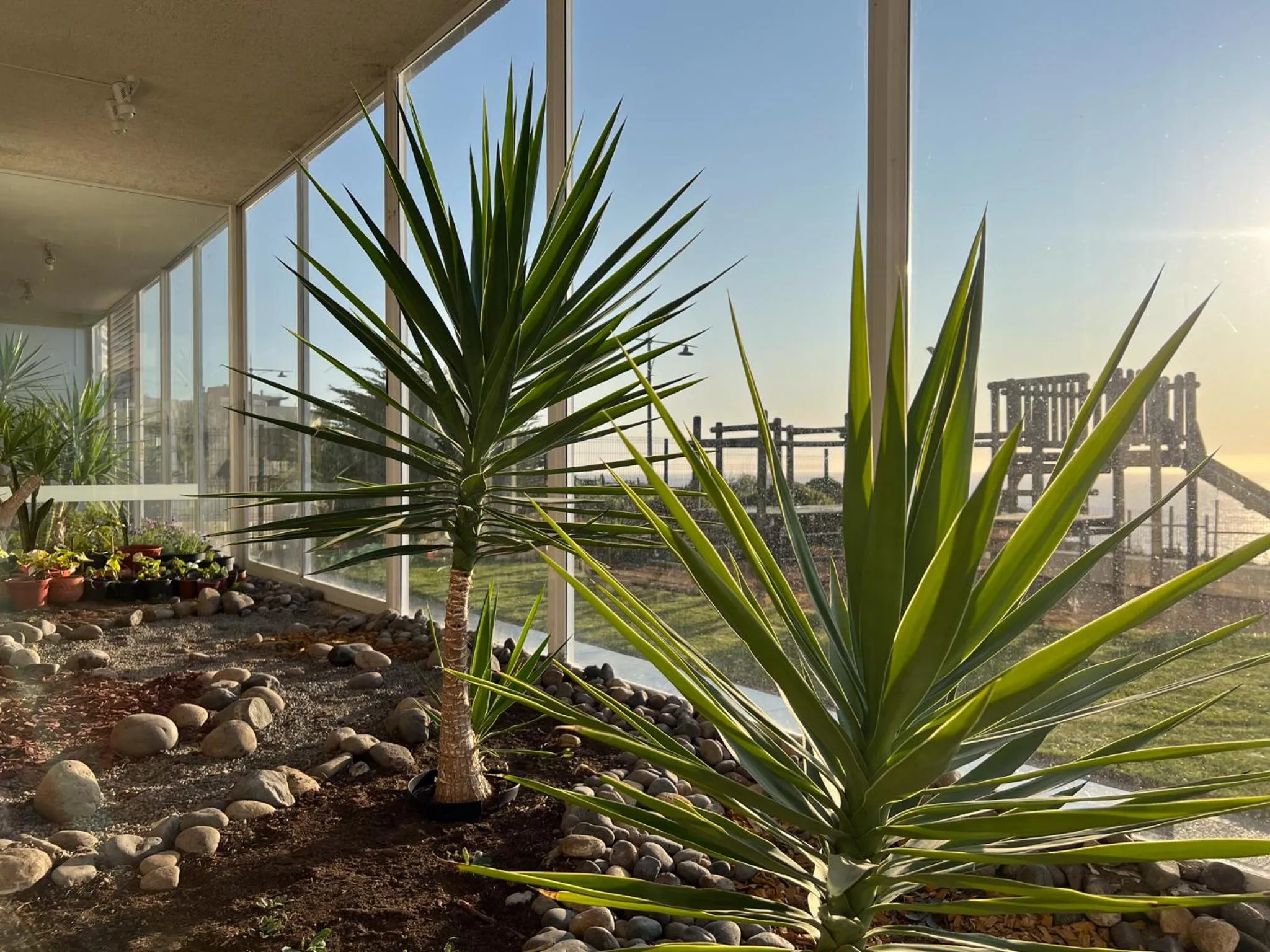 Garden in Oceana Suites Costa Montemar