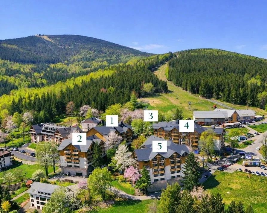 Property building in Forest Park Resort & SPA