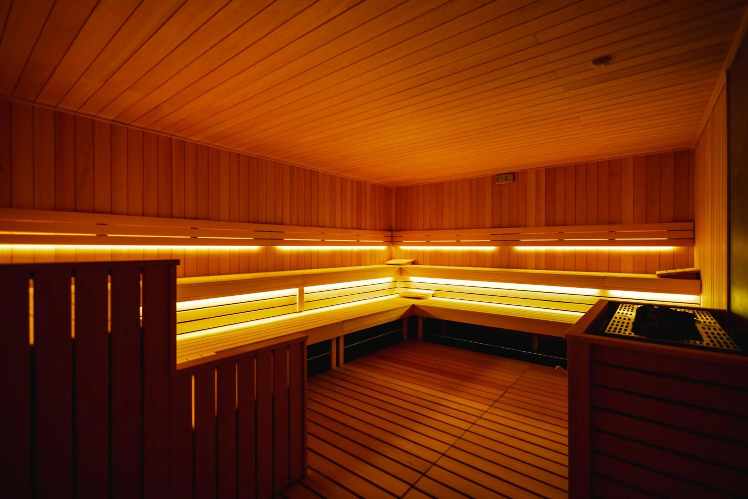 Sauna in Forest Park Resort & SPA