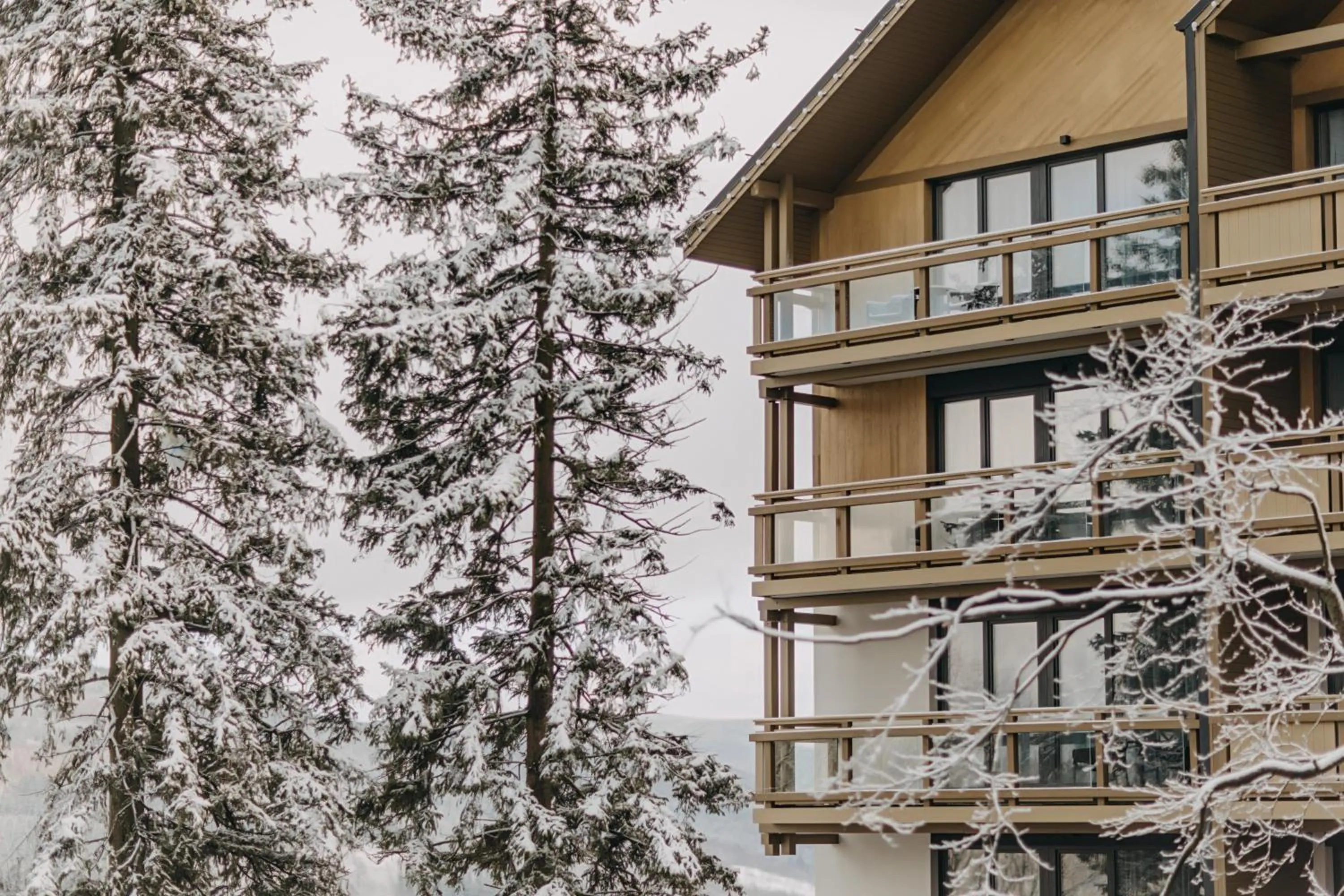 Property building in Forest Park Resort & SPA