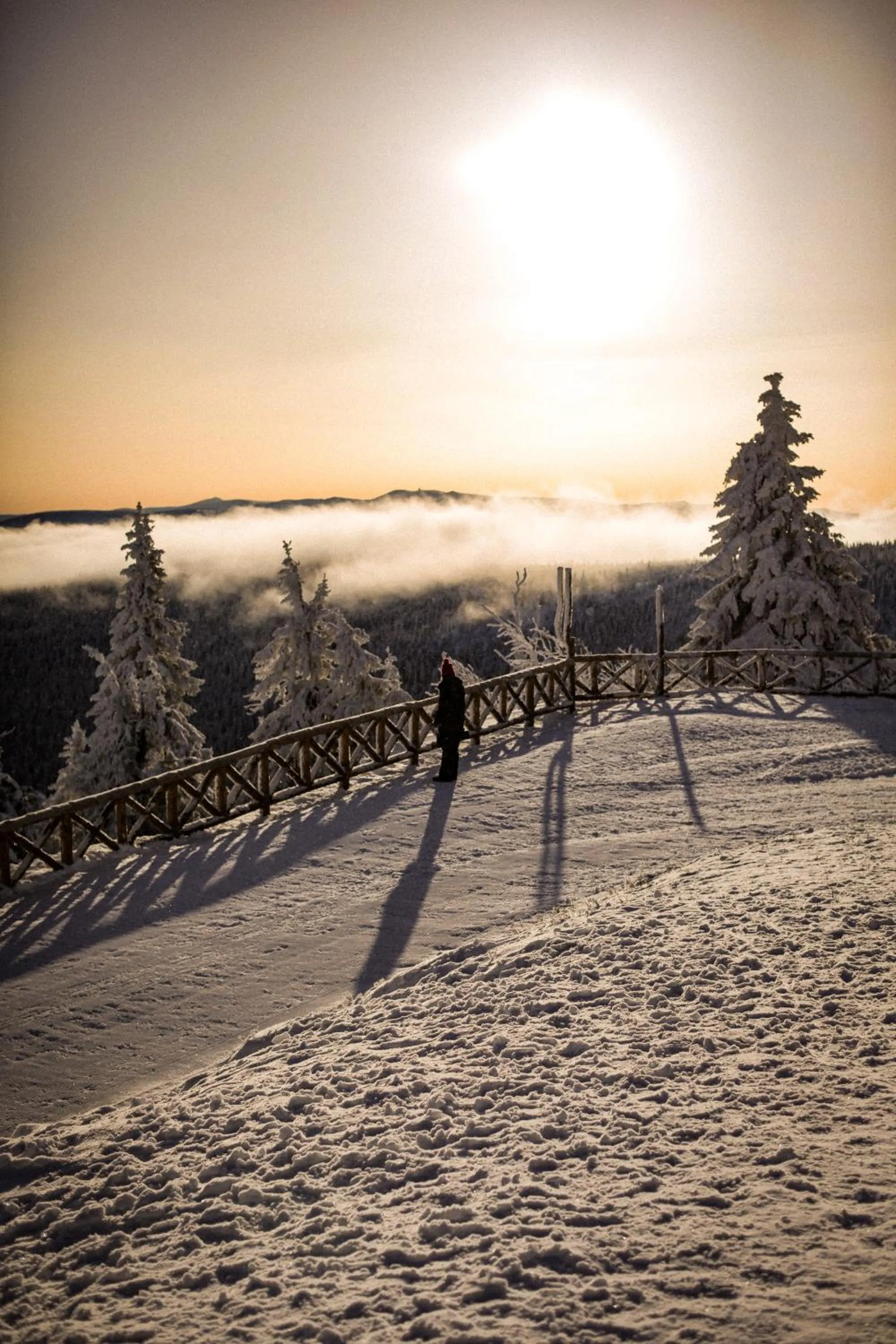 Day in Forest Park Resort & SPA