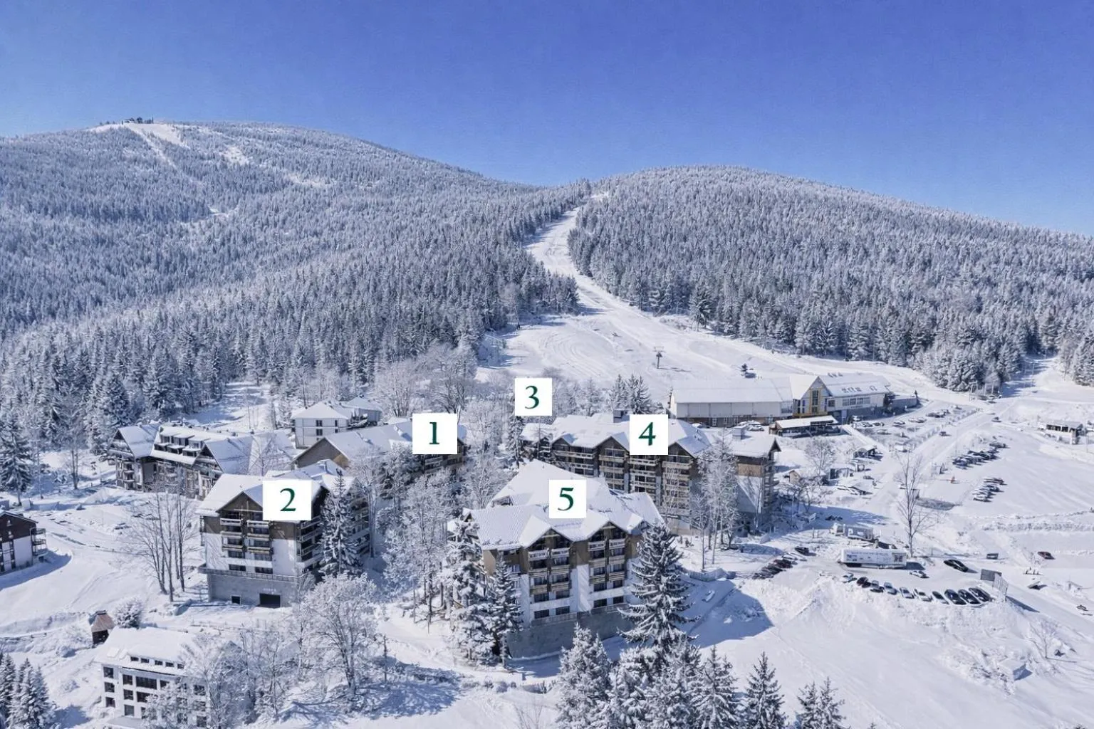 Property building in Forest Park Resort & SPA