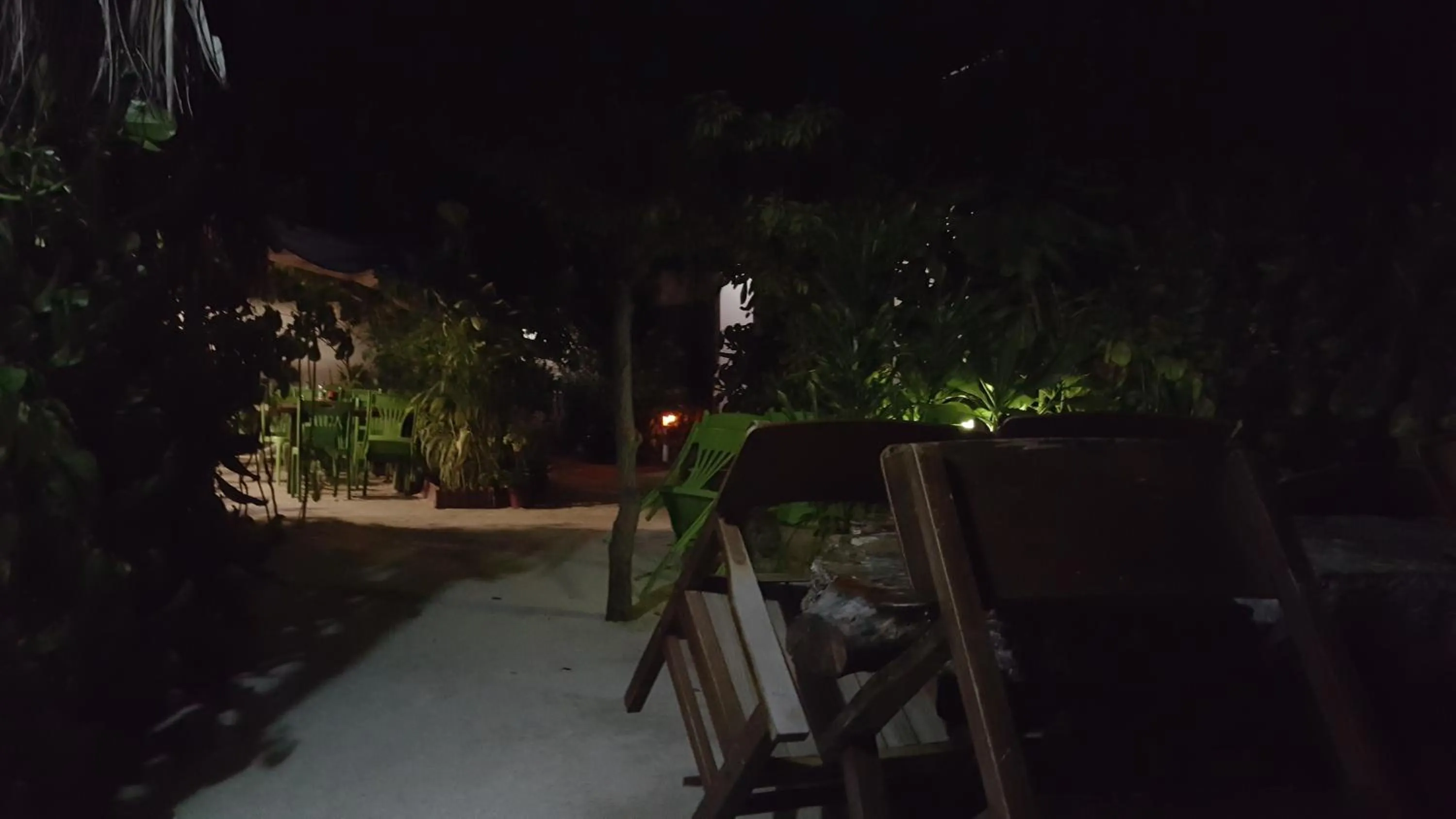 Garden in Maafushi View