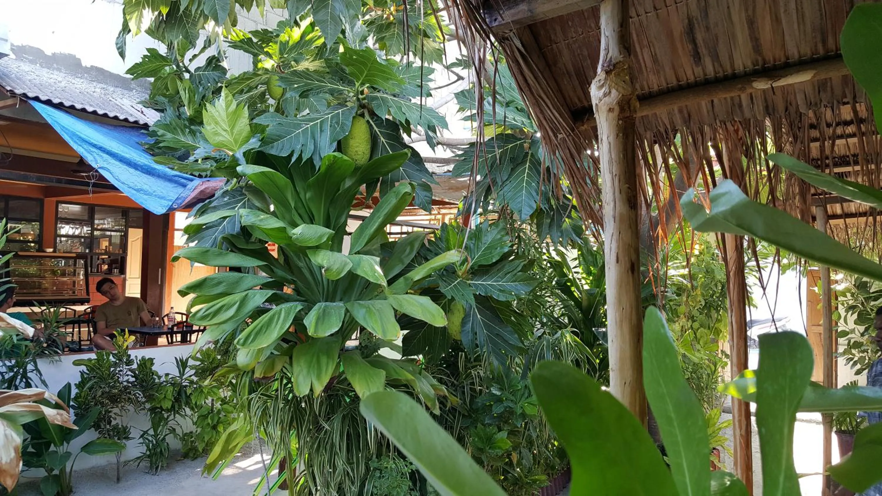 Other in Maafushi View