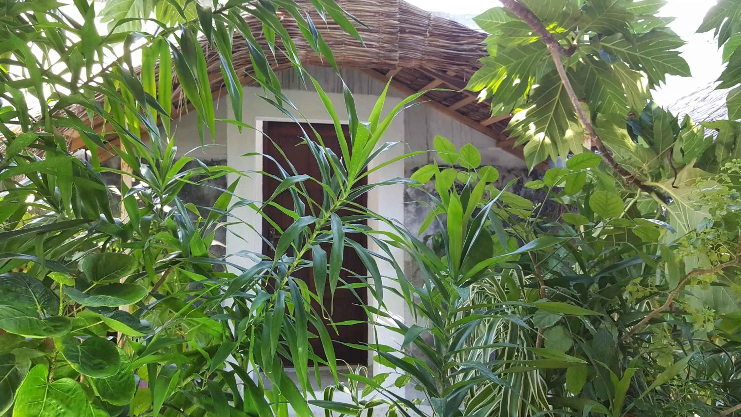 View (from property/room) in Maafushi View